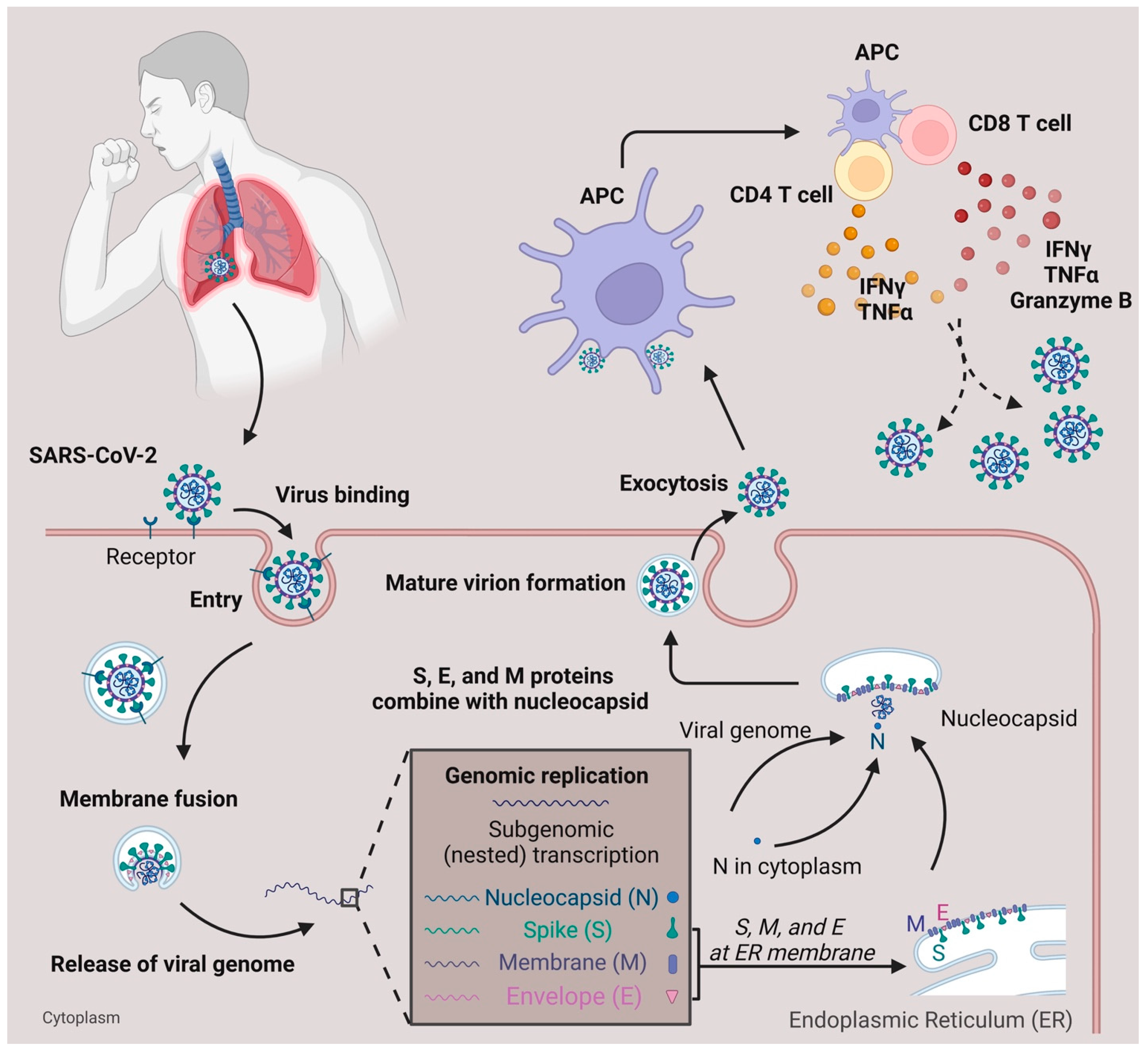 Pathogens 12 00321 g001