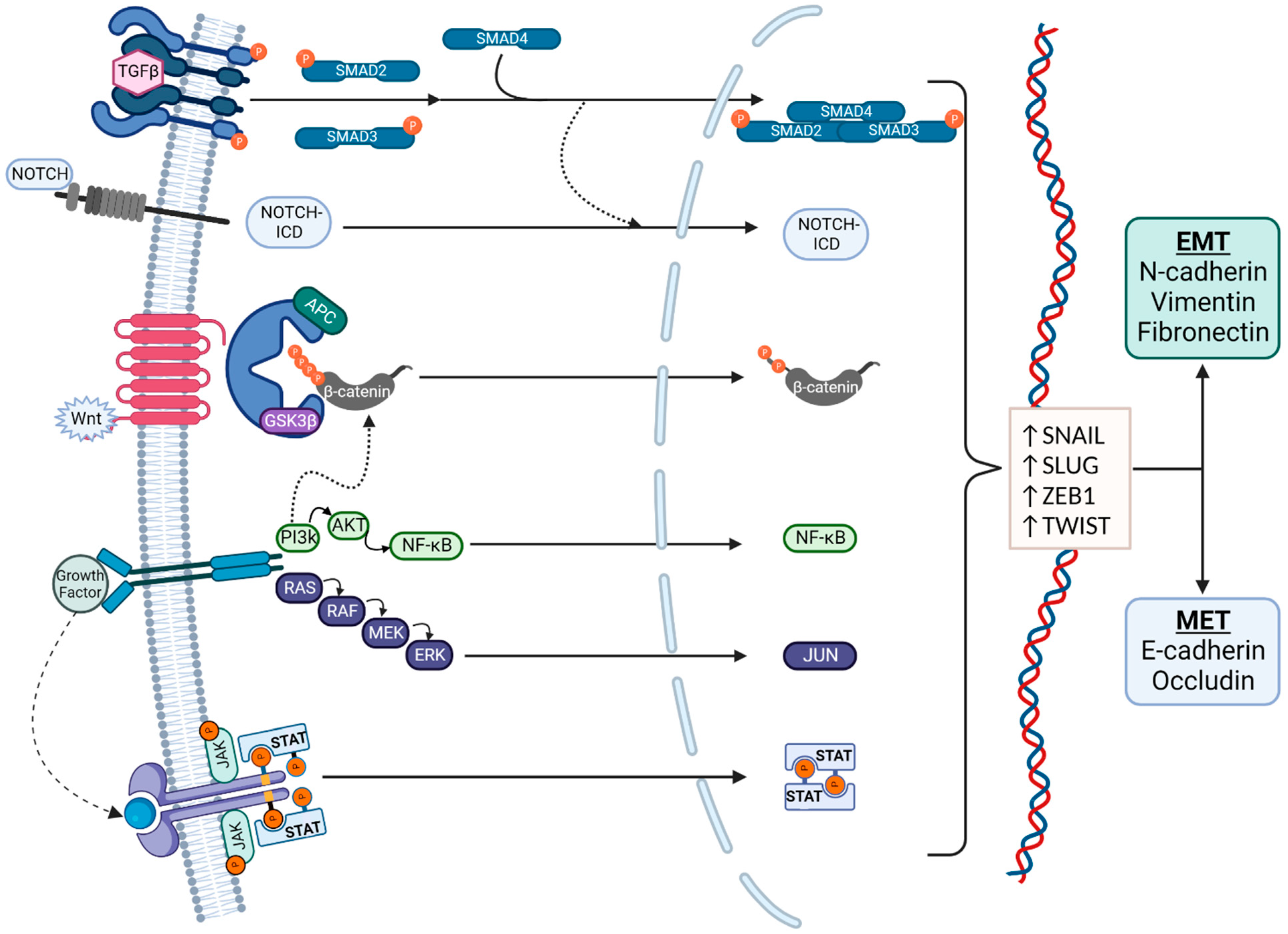 Biomolecules 13 00398 g002