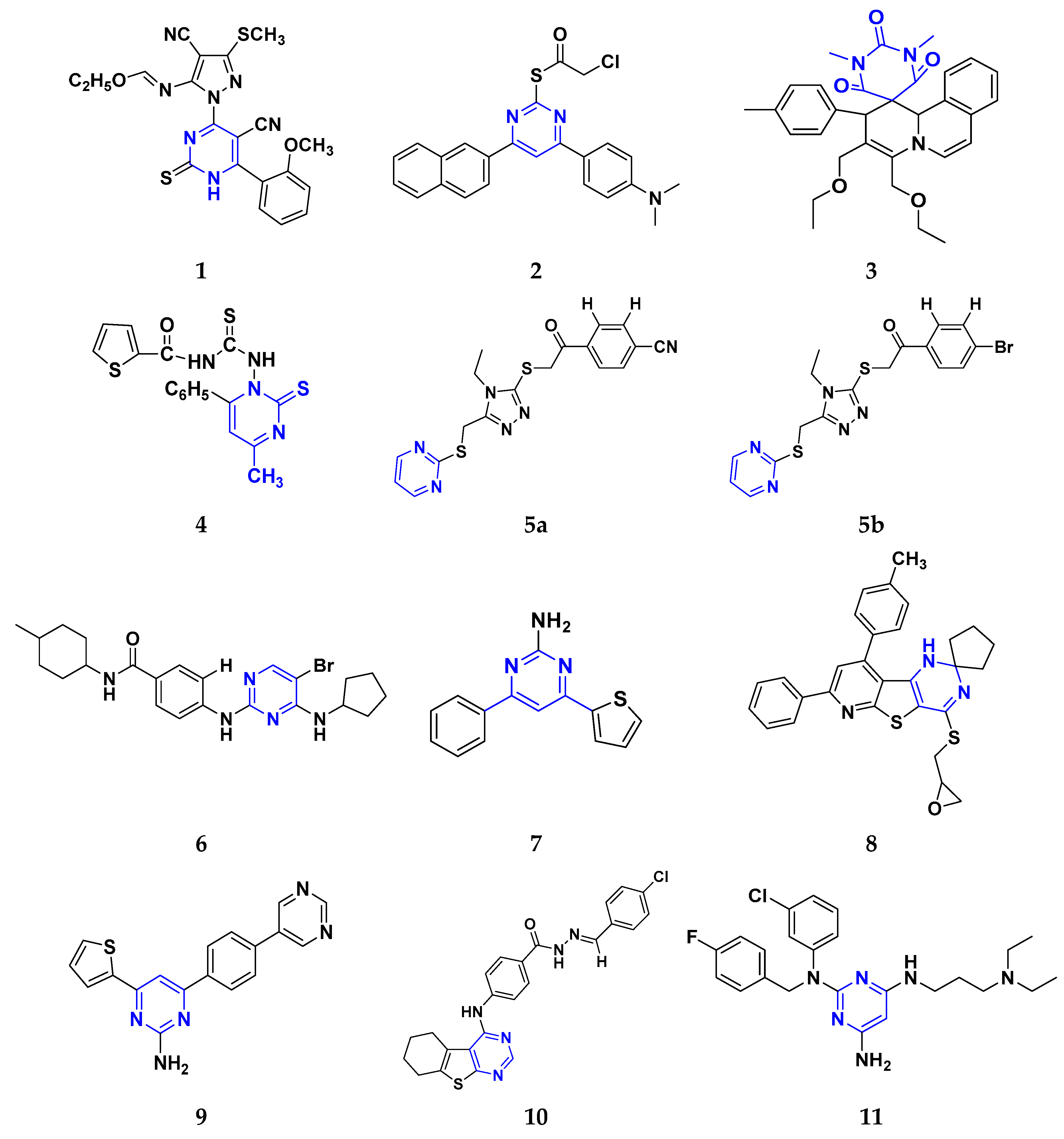 Pharmaceuticals 16 00299 g003