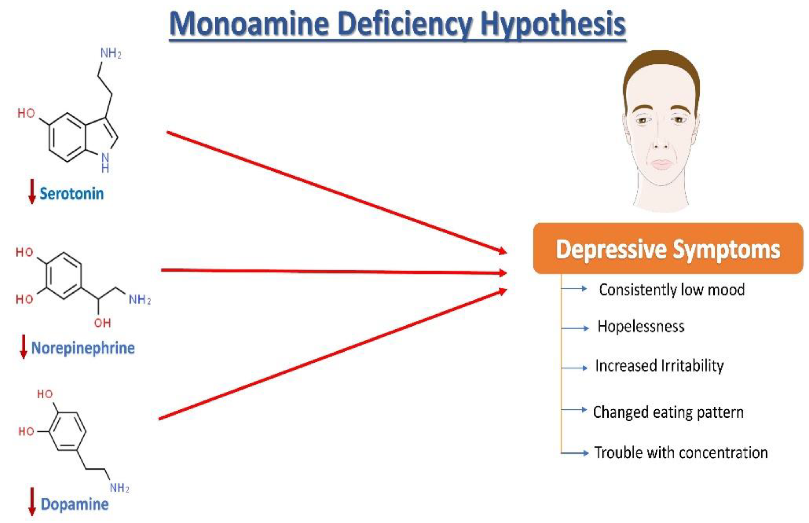 the monamine hypothesis of depression states that