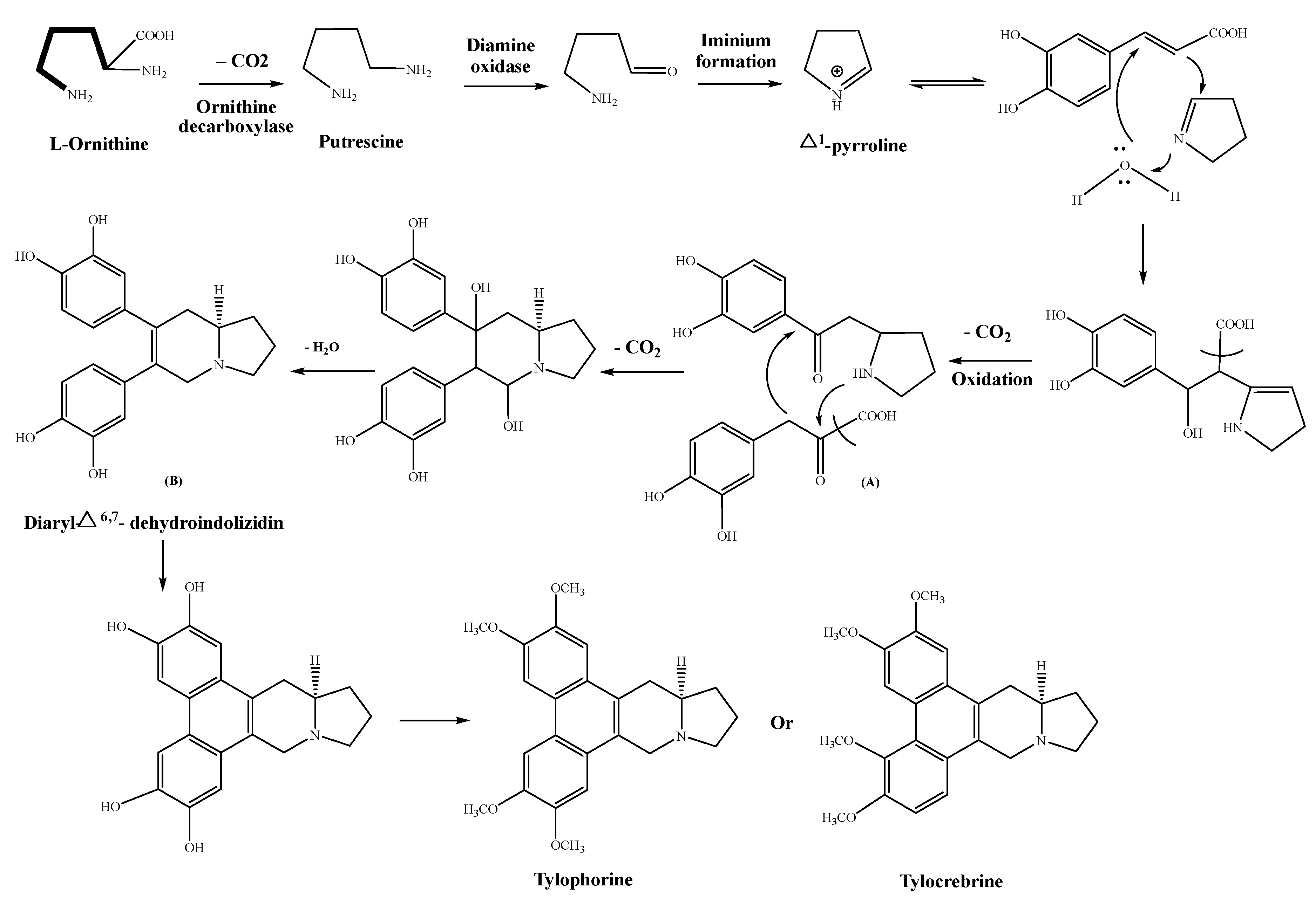 /media/item_content/202303/6406ff6c8e139plants-12-01143-g001.png