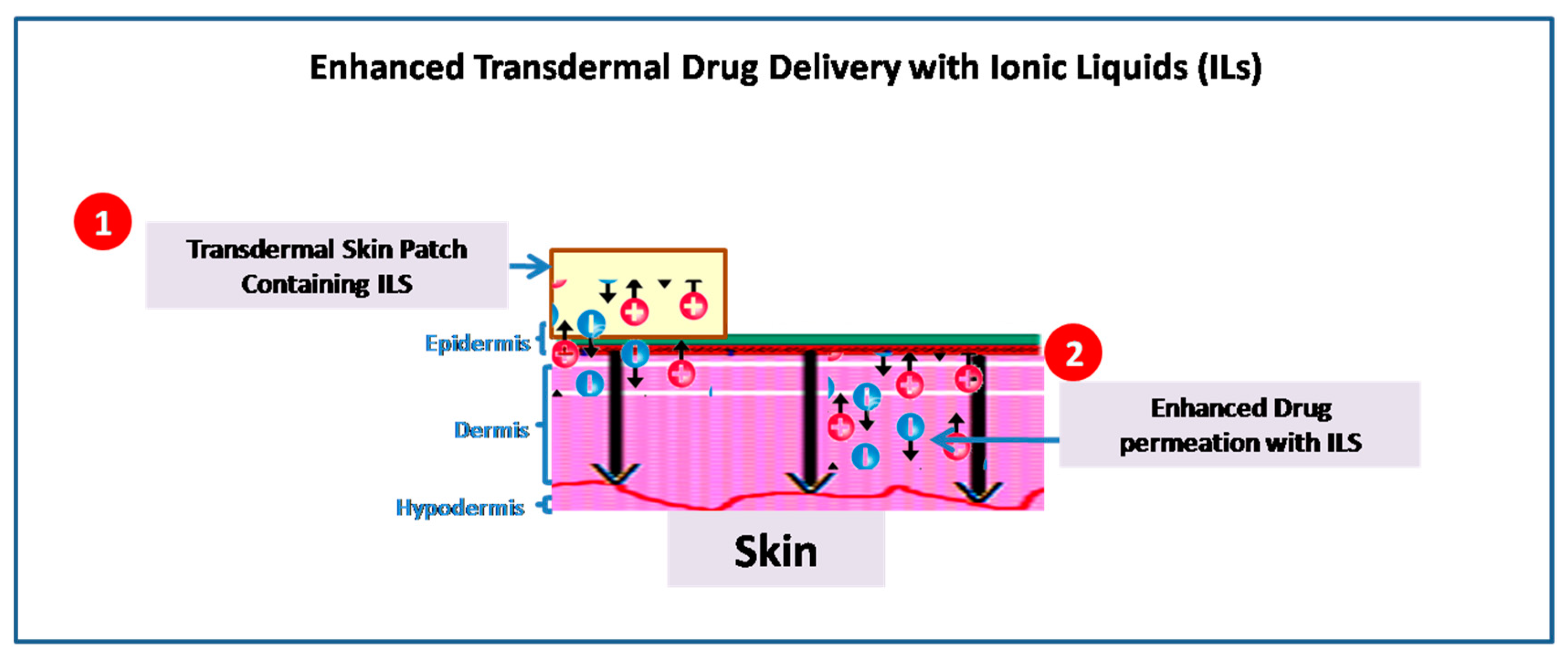 Pharmaceutics 15 00702 g002