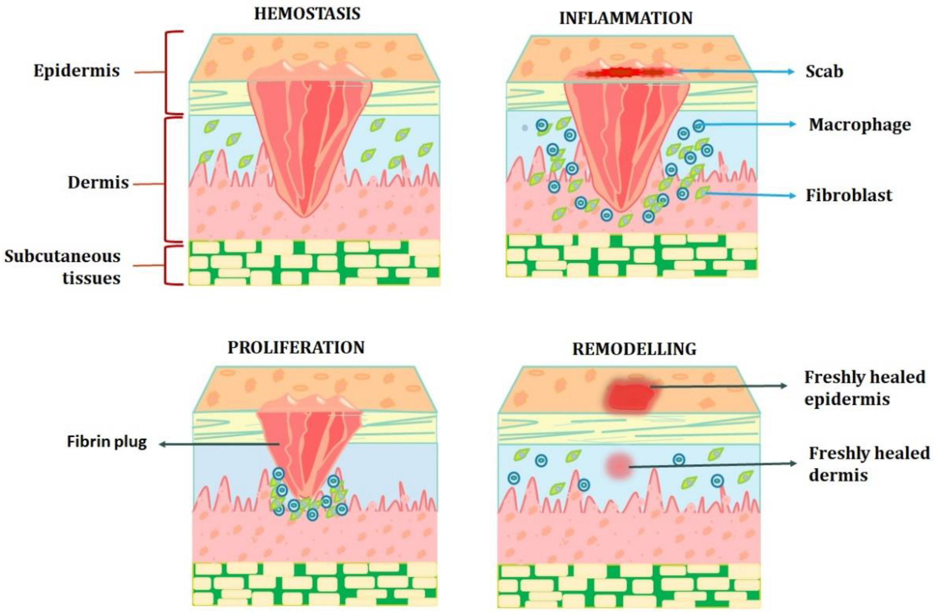 /media/item_content/202303/64117f877e27dpharmaceutics-15-00634-g001.png