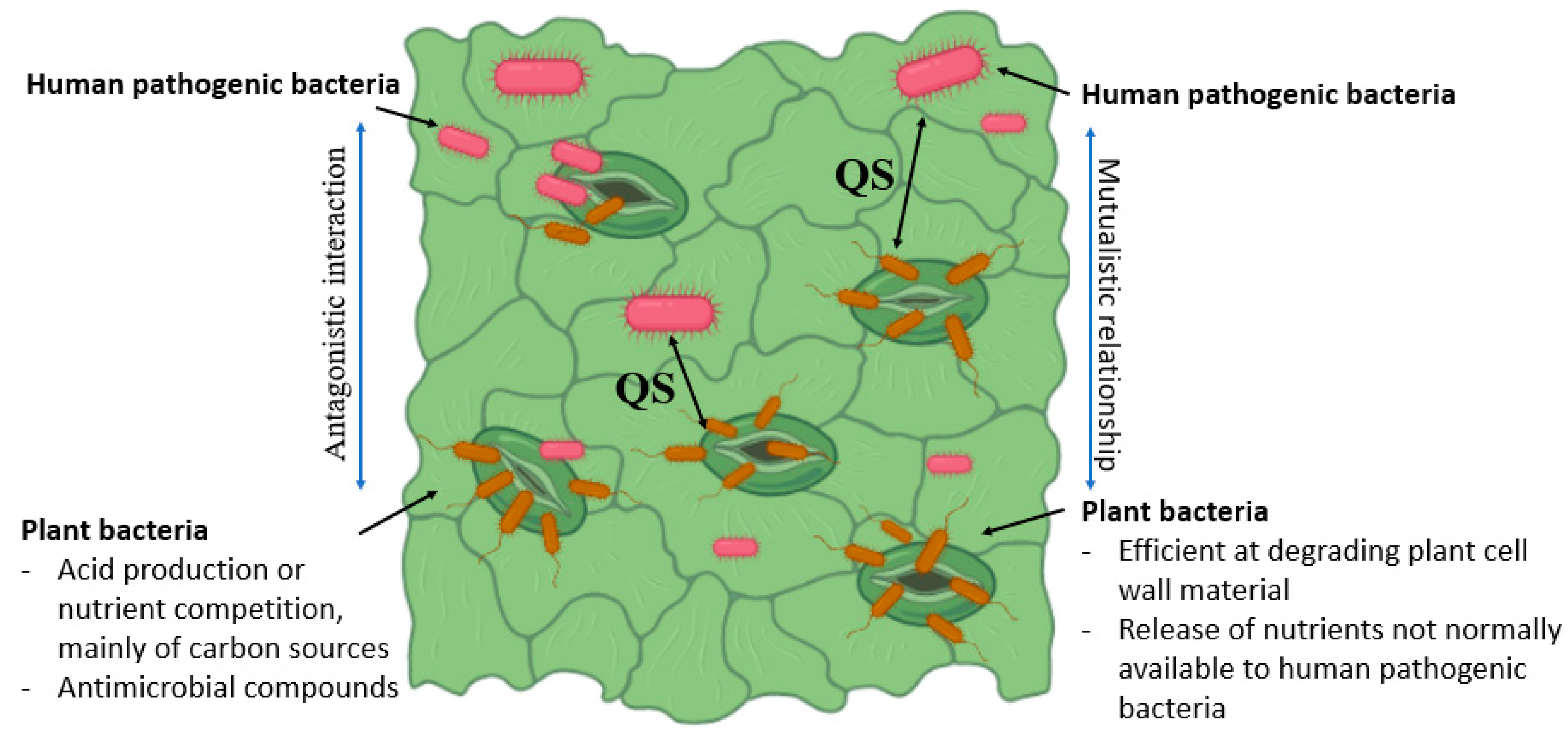 Microorganisms 11 00753 g005