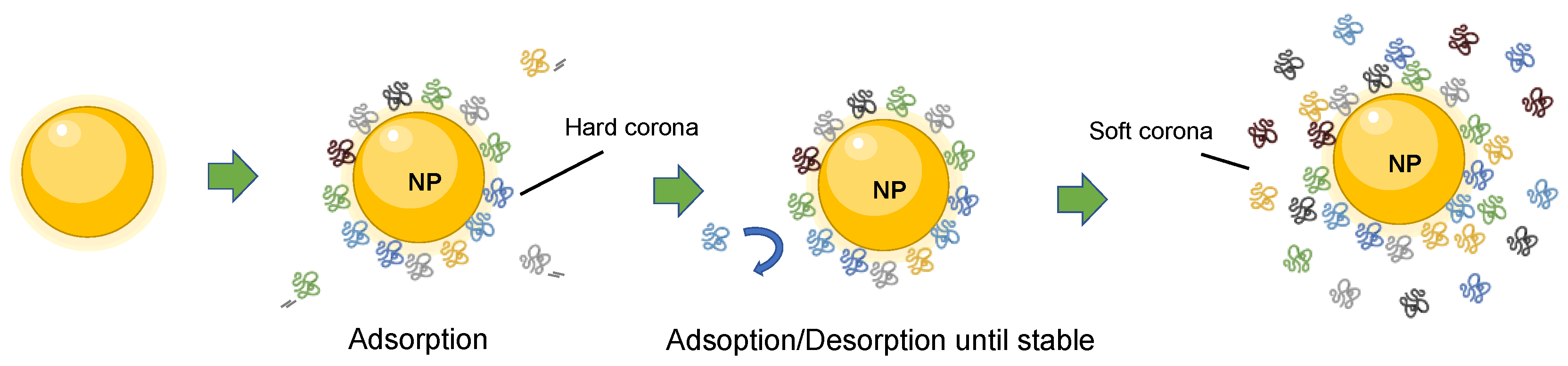 Nanomaterials 13 01132 g001