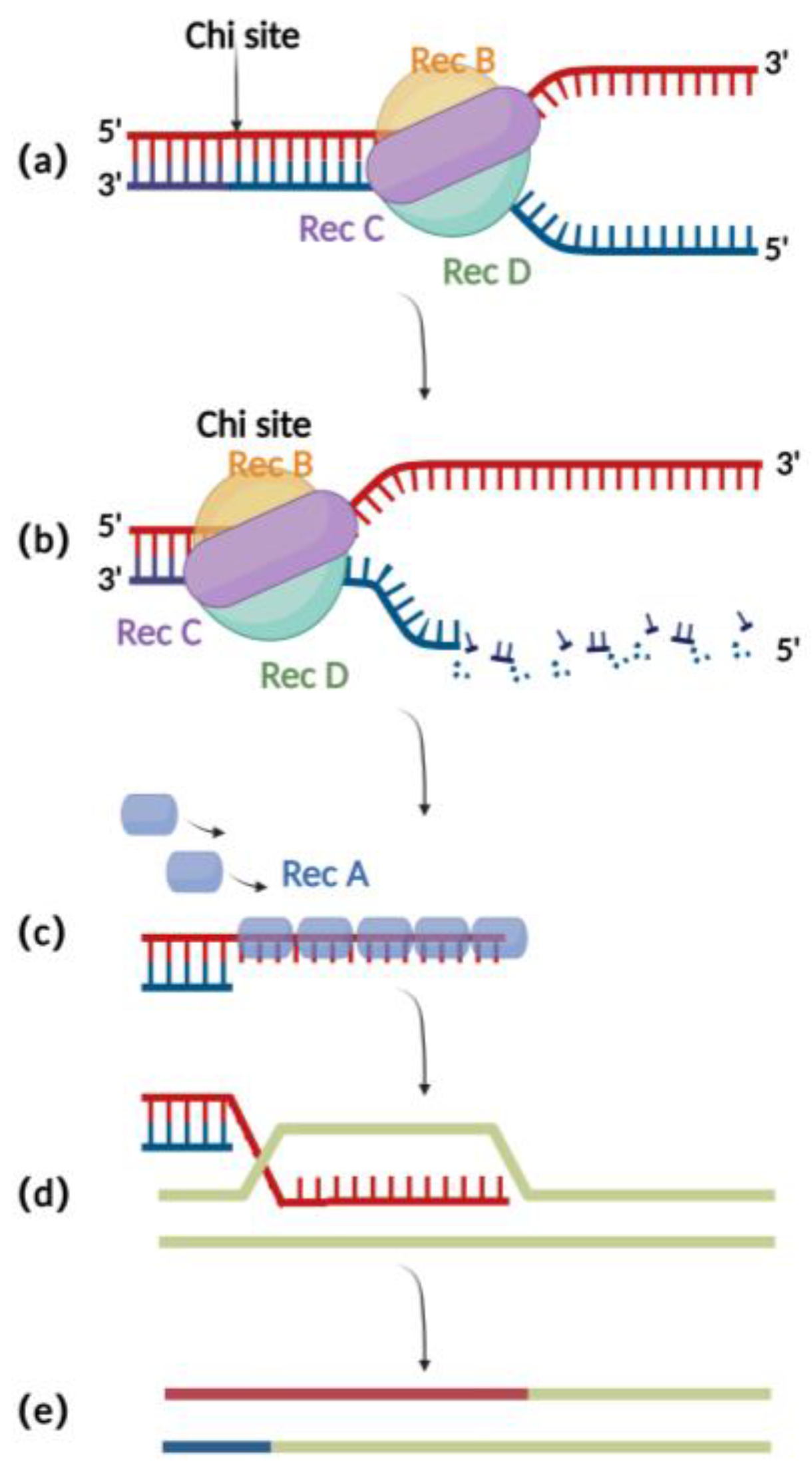 Microorganisms 11 00589 g001