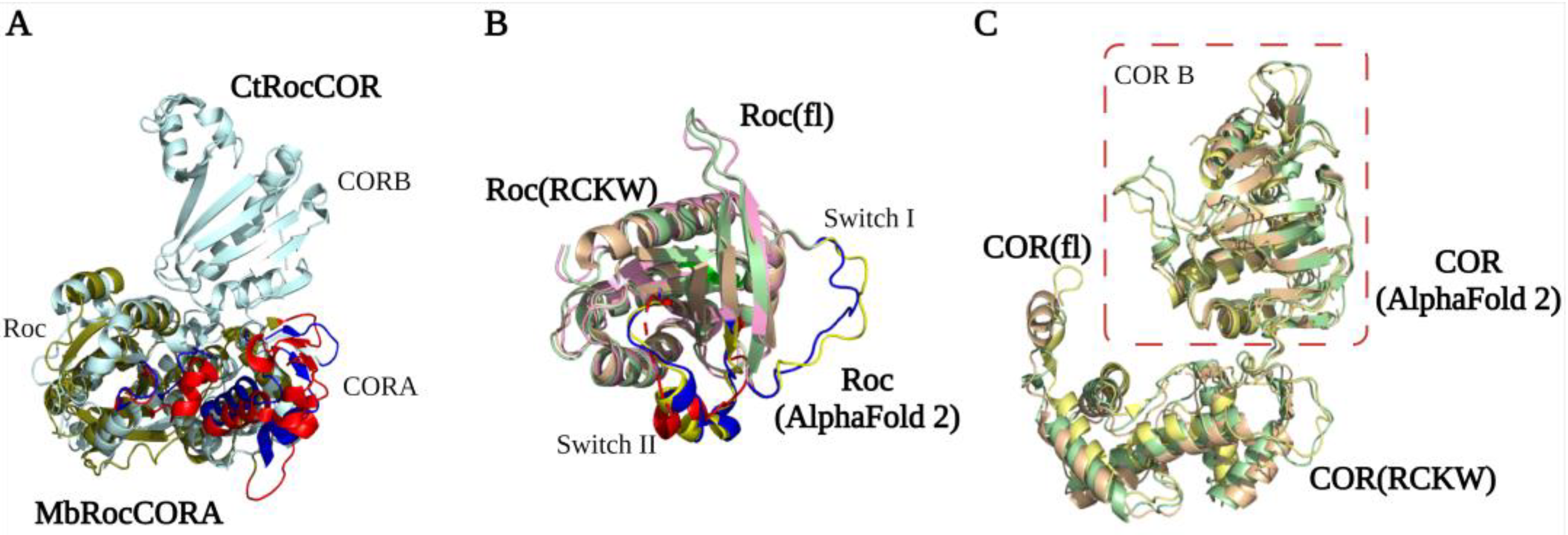 Biomolecules 13 00612 g003