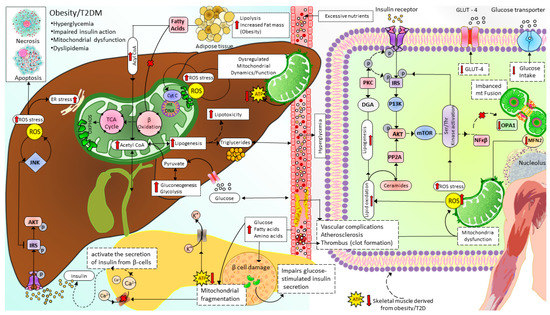 Cells 12 01223 g005 550