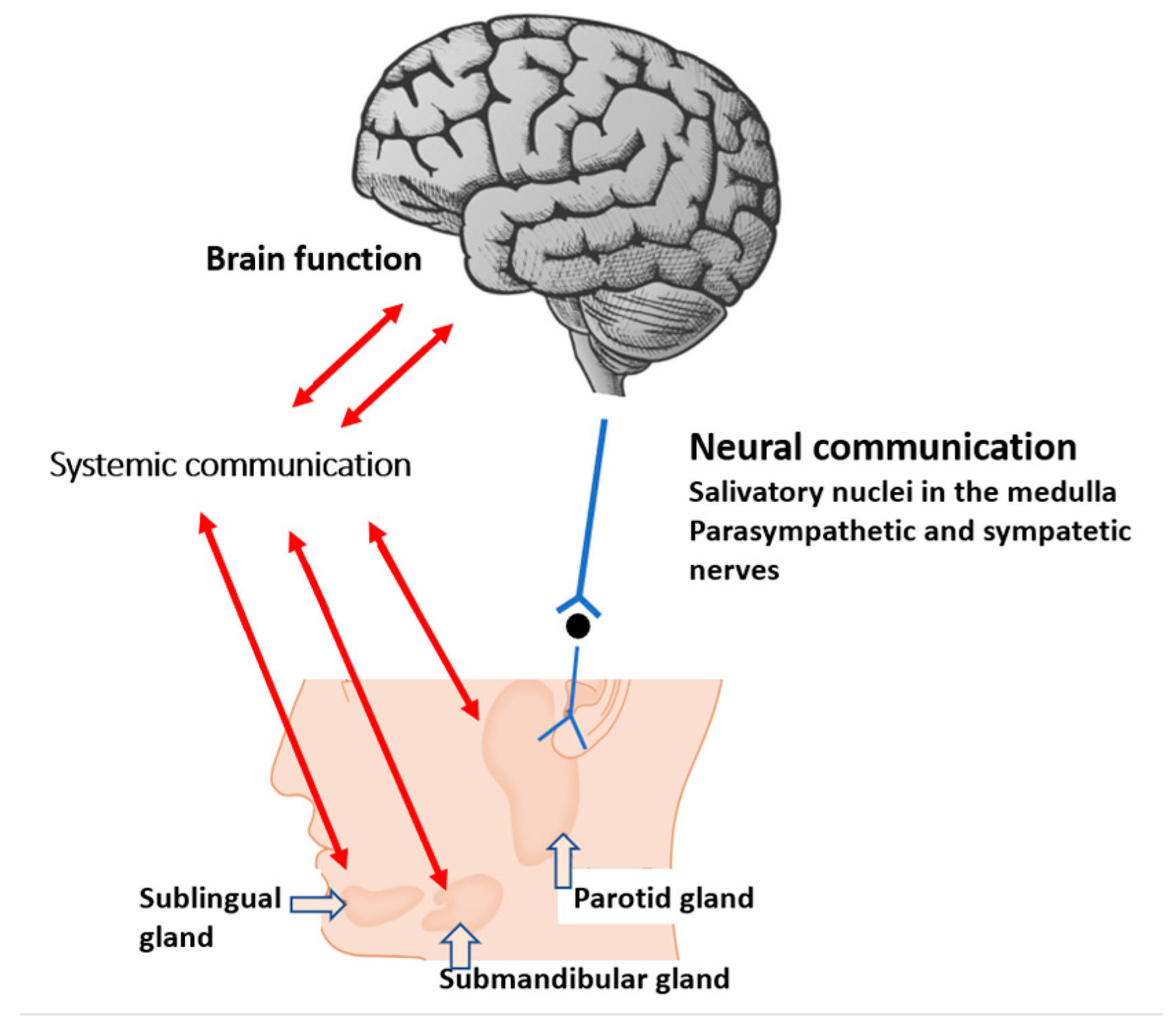 /media/item_content/202305/6461bbbc64ef7metabolites-13-00233-g001.png