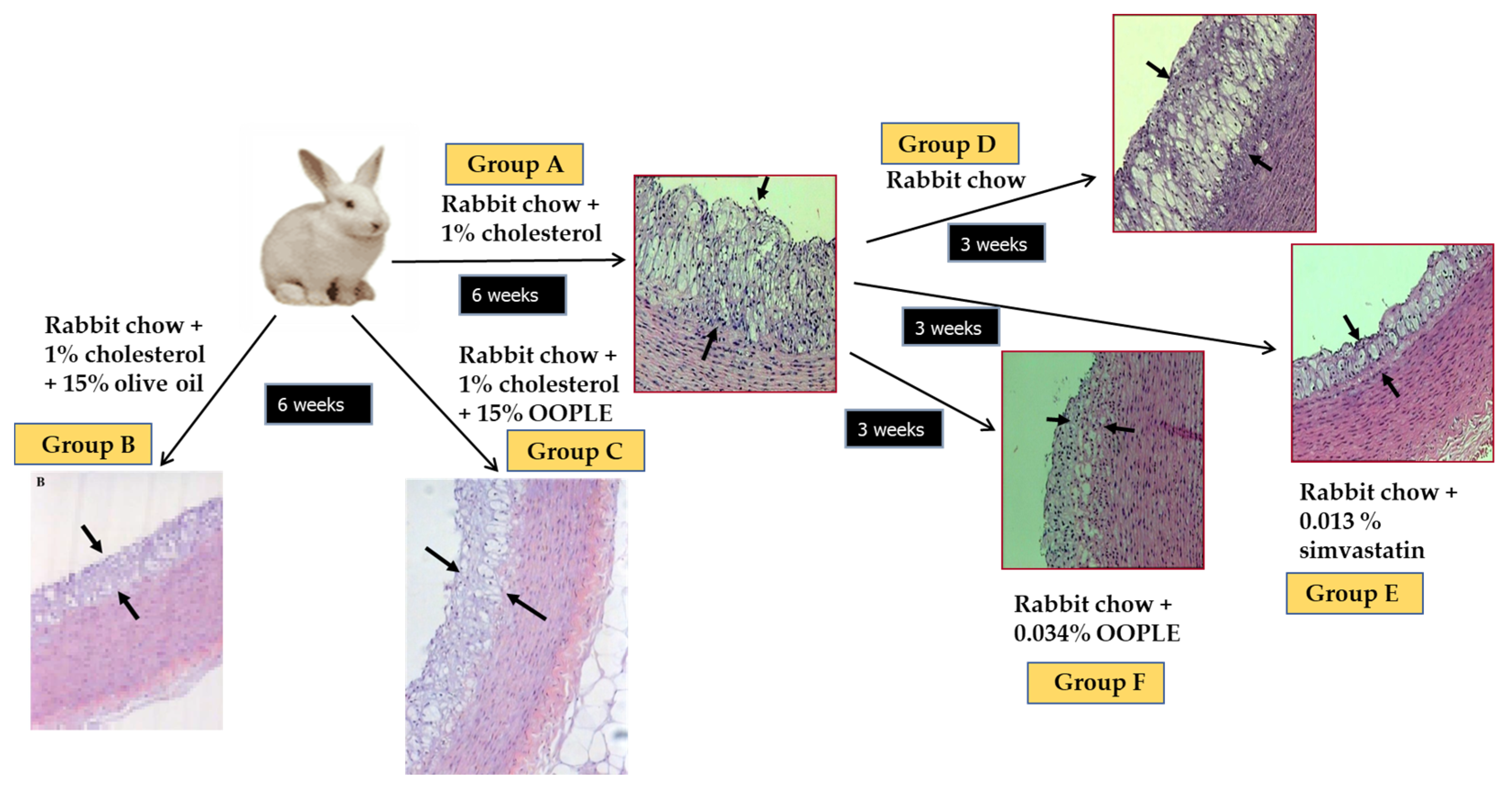 /media/item_content/202305/646351d65ed4abiomolecules-13-00700-g005.png