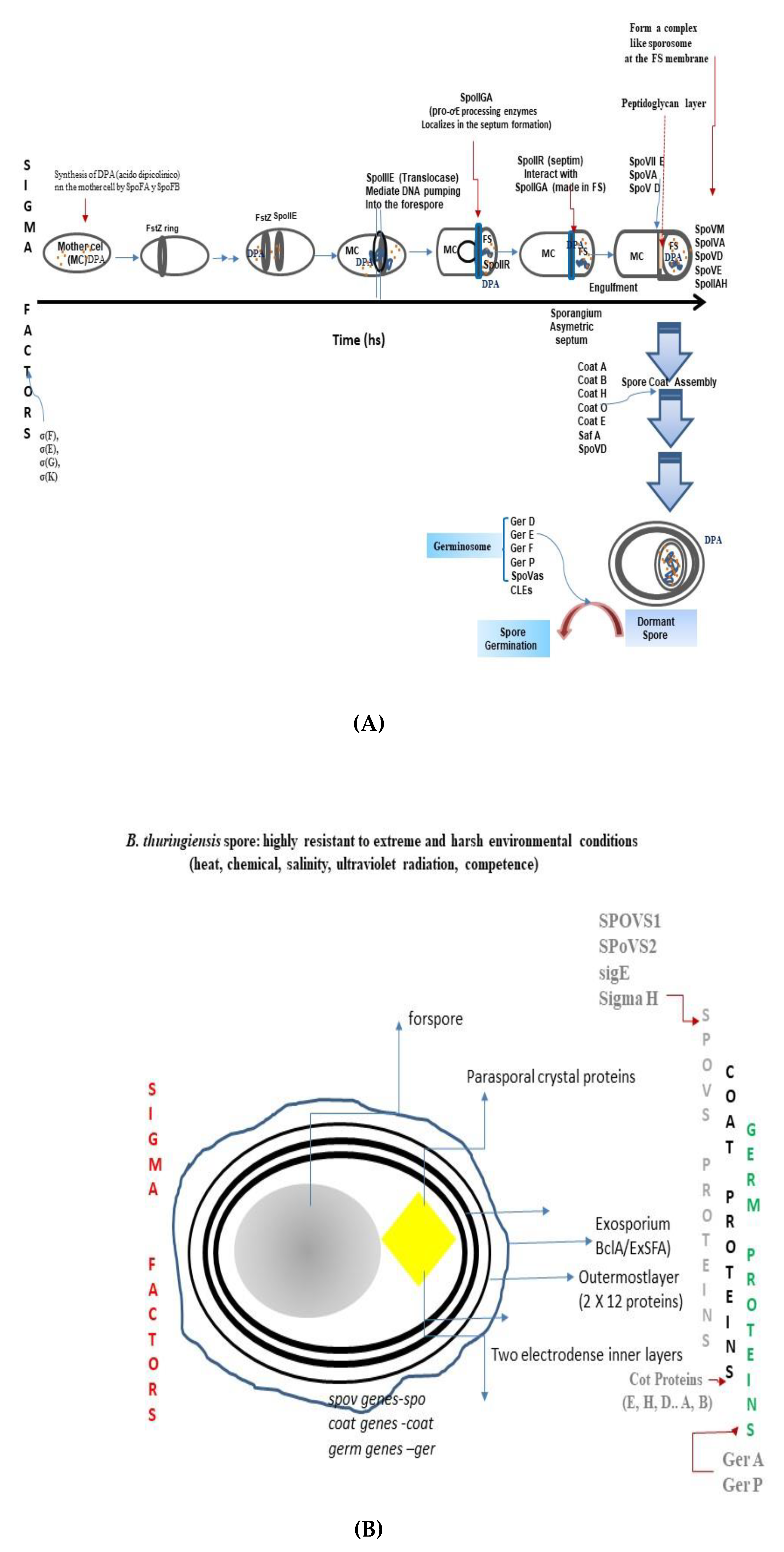 /media/item_content/202305/646713c07440cmicrobiolres-14-00035-g001.png