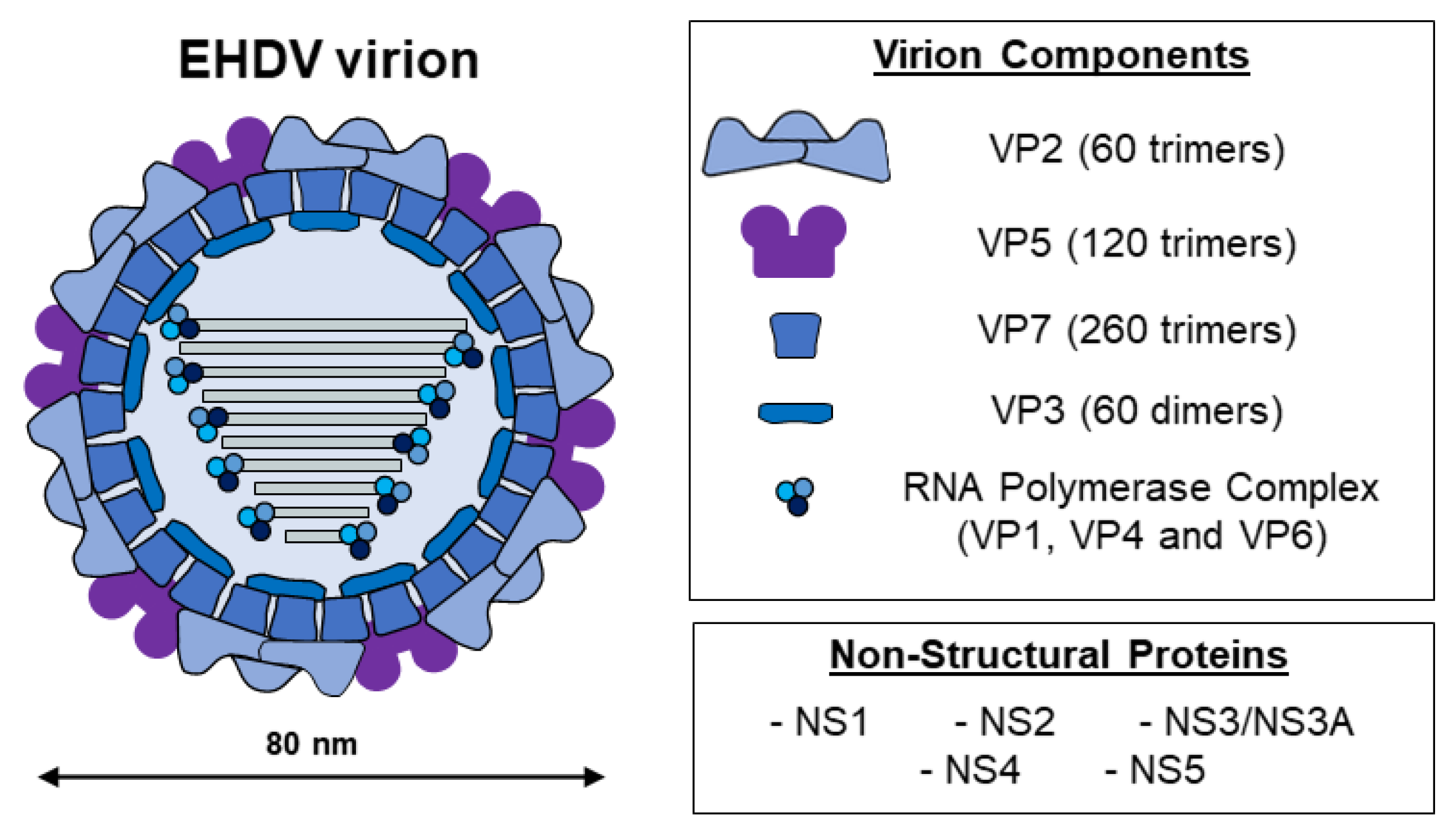 /media/item_content/202305/646c0bf733151microorganisms-11-01339-g001.png