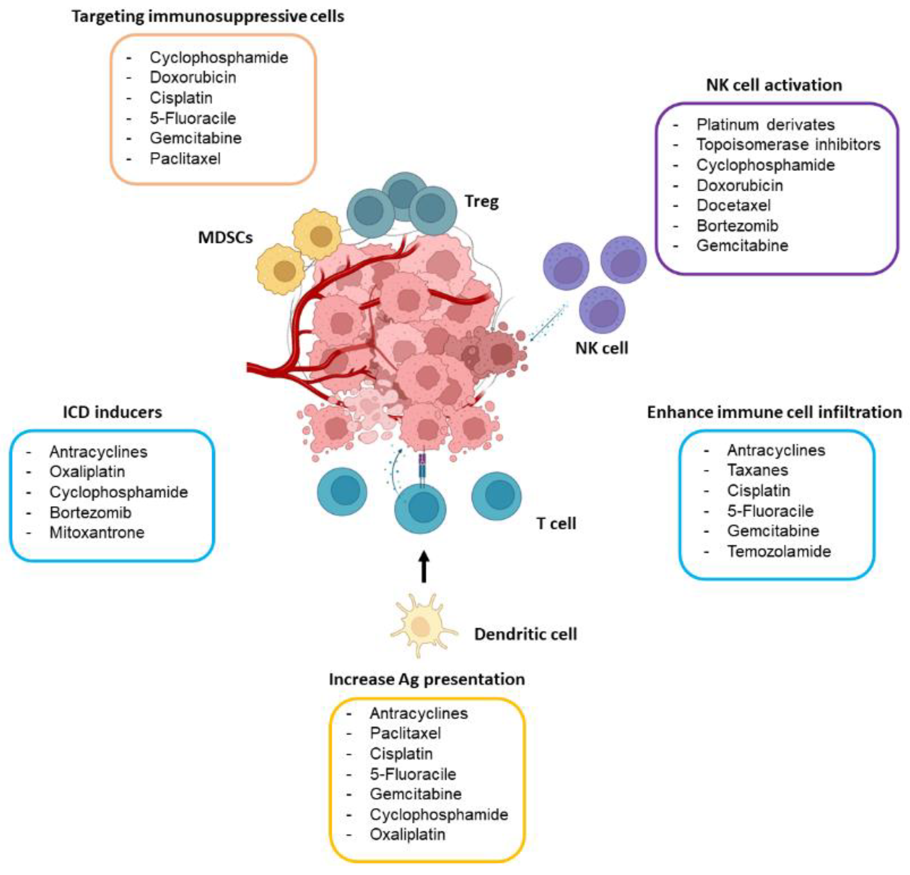Chemo Immunotherapy In Cancer Treatment Encyclopedia MDPI Chemo Immunotherapy In Cancer Treatment Encyclopedia MDPI