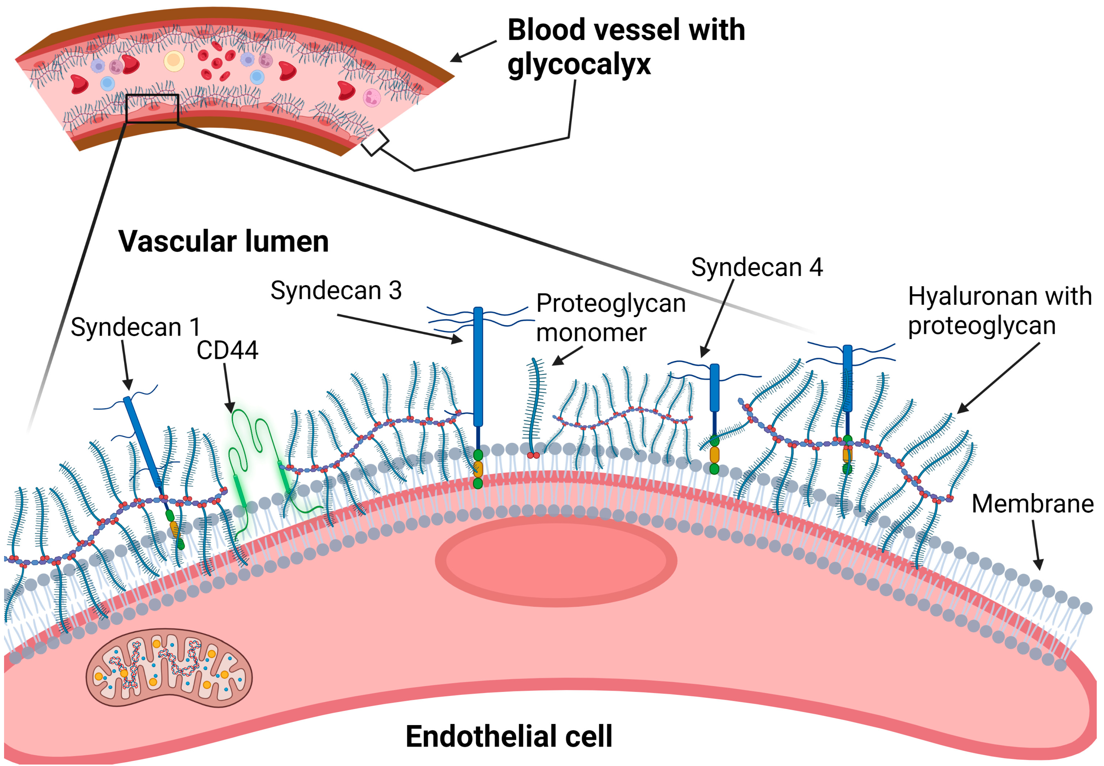 /media/item_content/202306/64994caea70dfnutrients-15-02873-g001.png