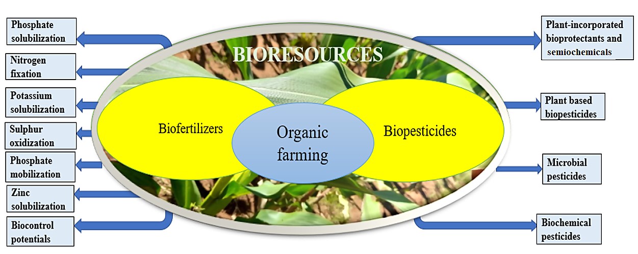 Figure 1. Role of bioresources in organic agriculture.