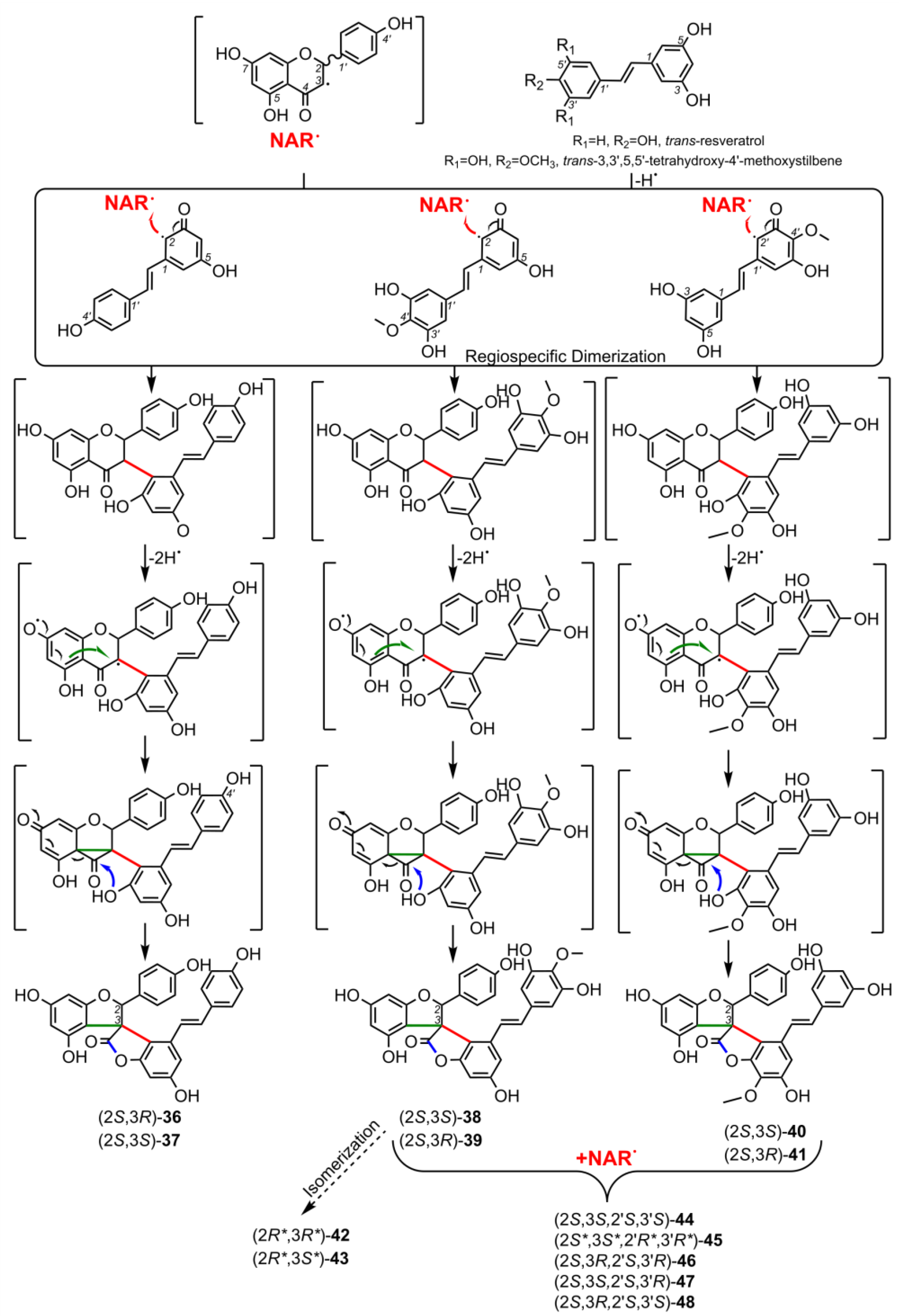 Molecules 28 05420 sch004