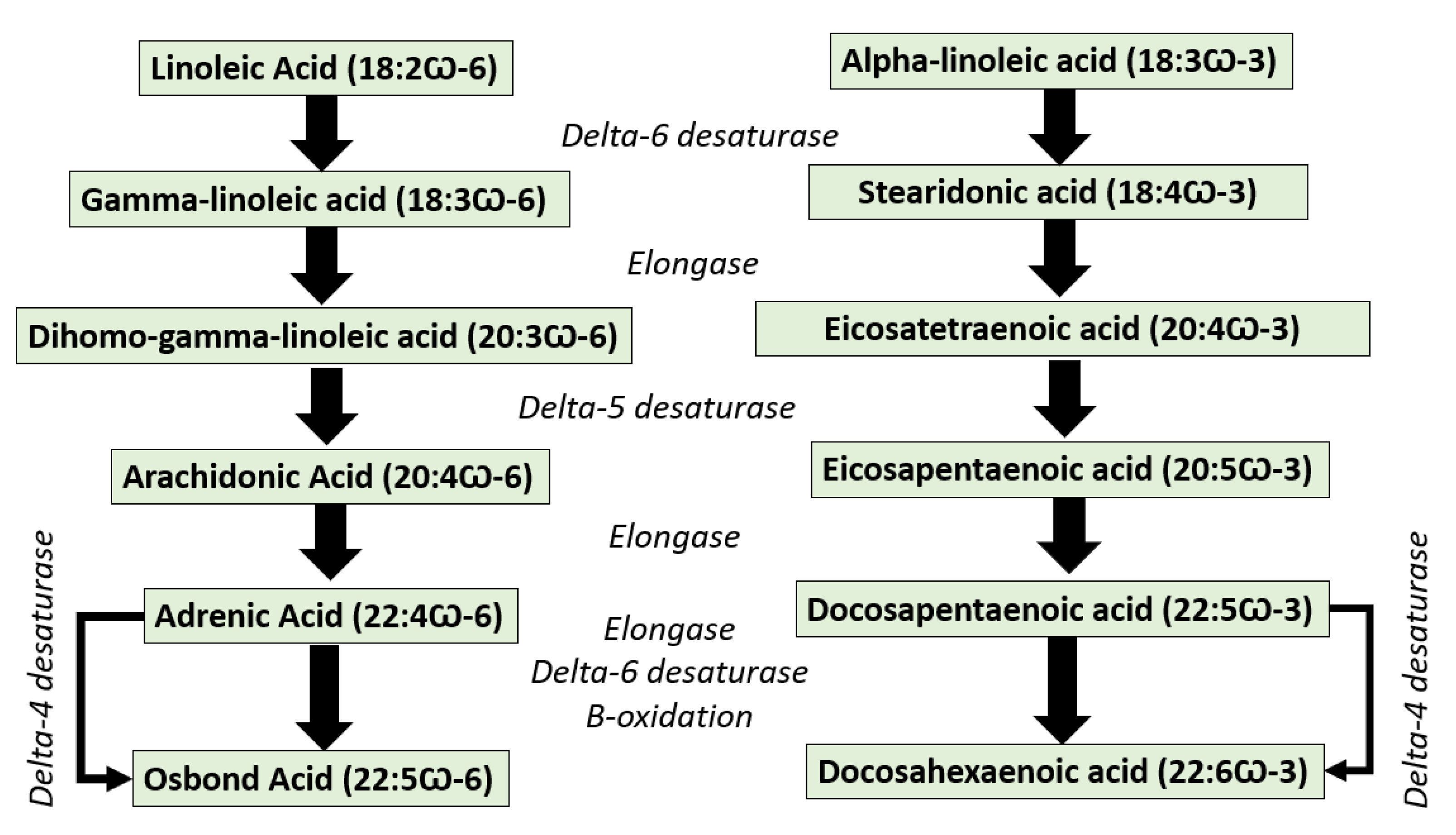 Molecules 28 05524 g002