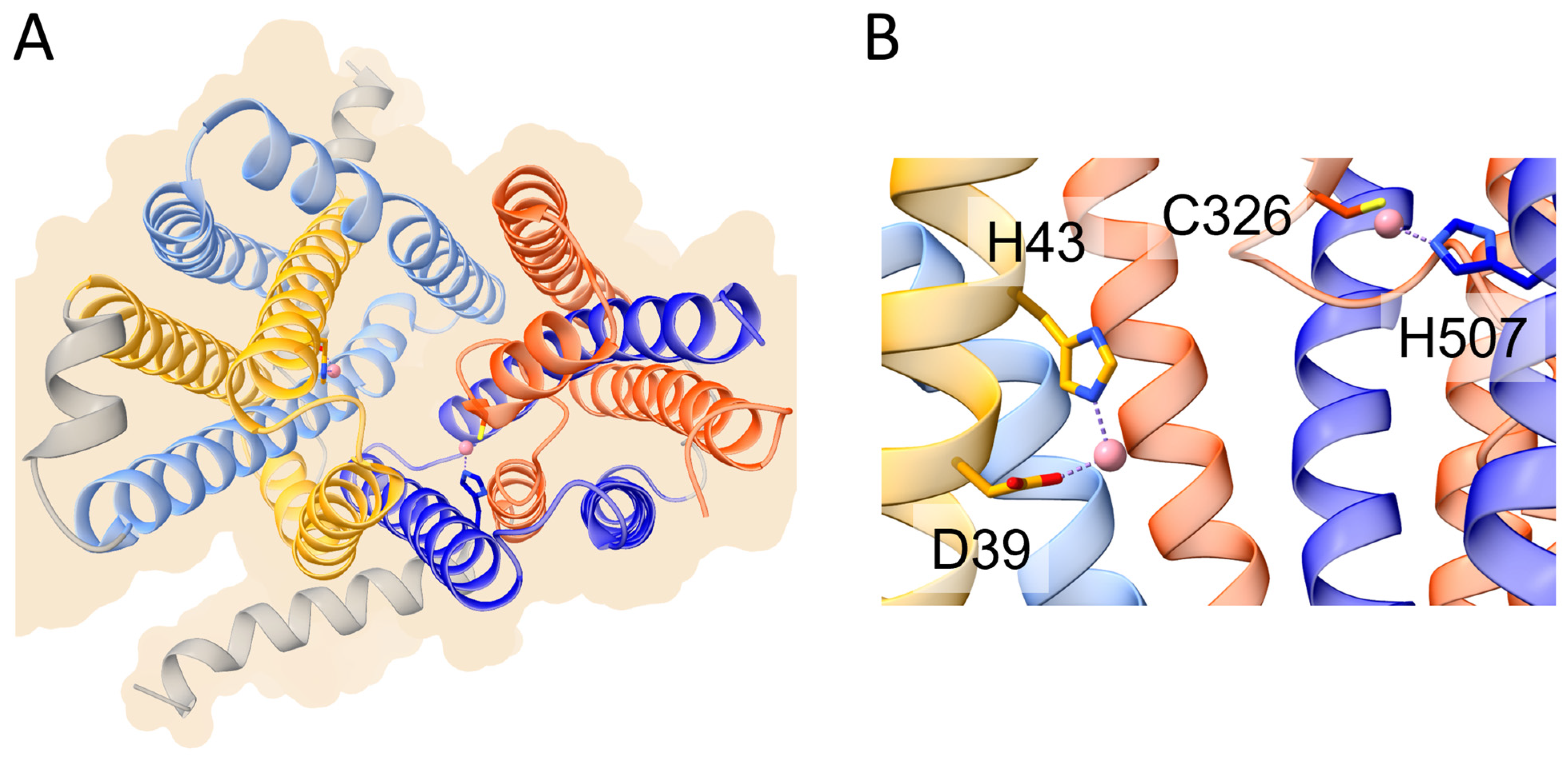 Biomolecules 13 01172 g002