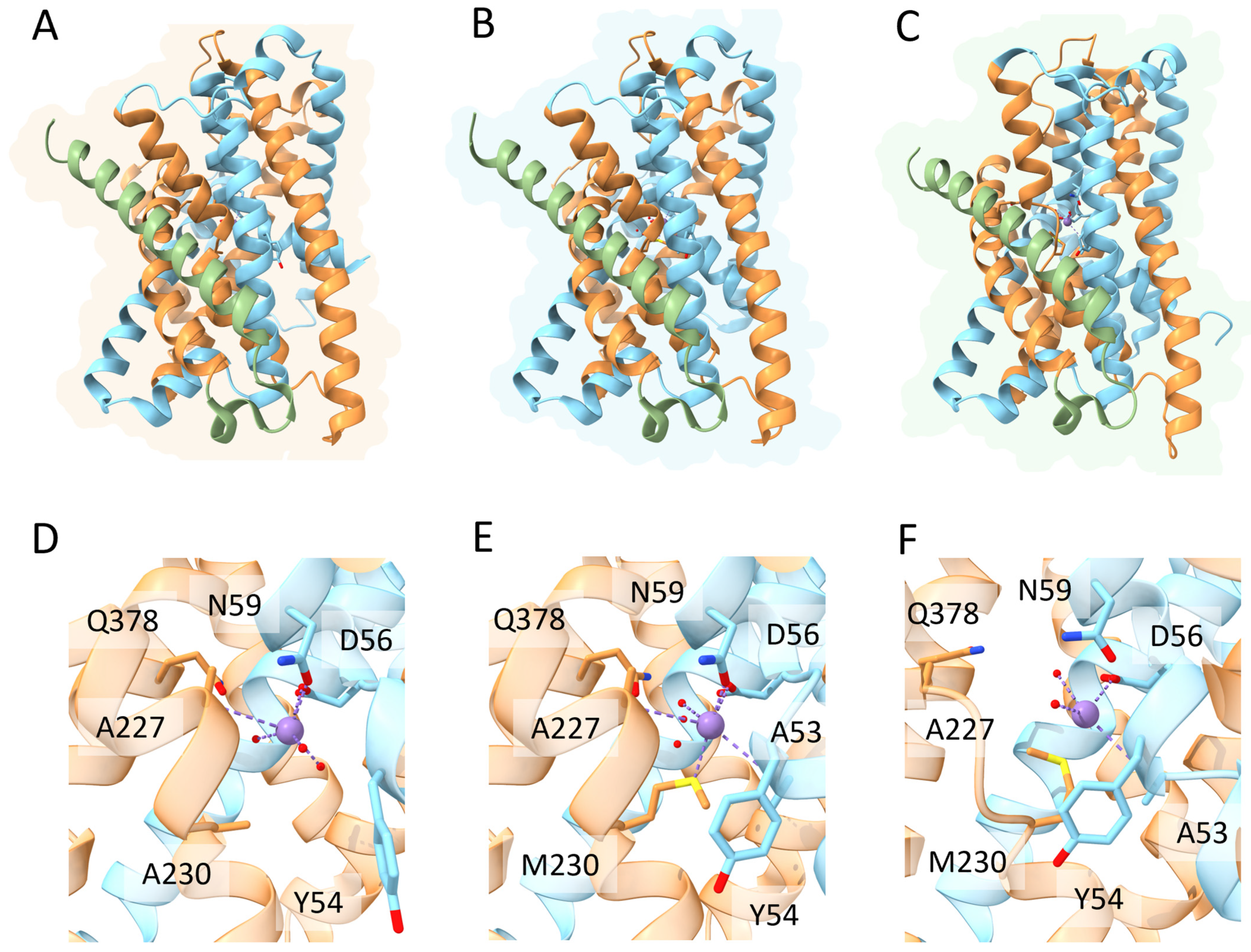 Biomolecules 13 01172 g004