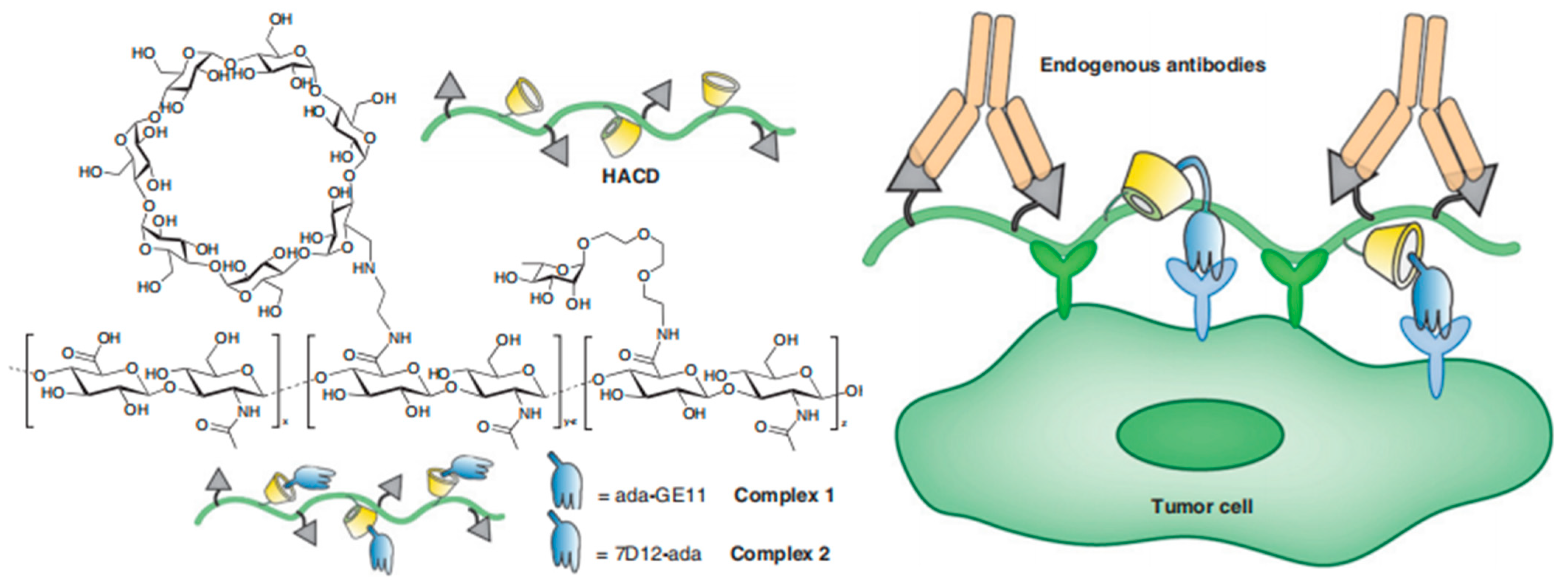 Molecules 28 05610 g006