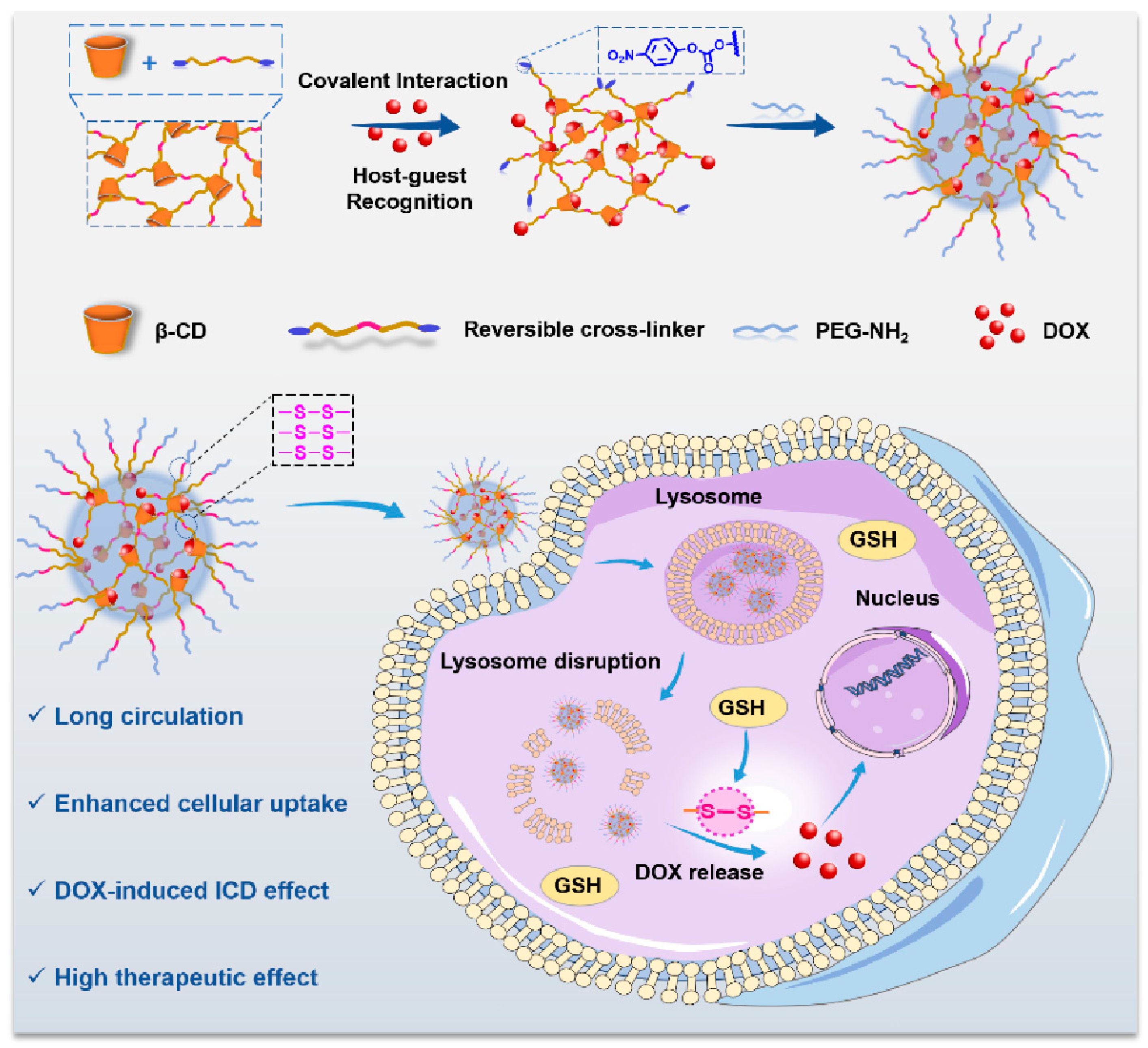 Molecules 28 05610 g011