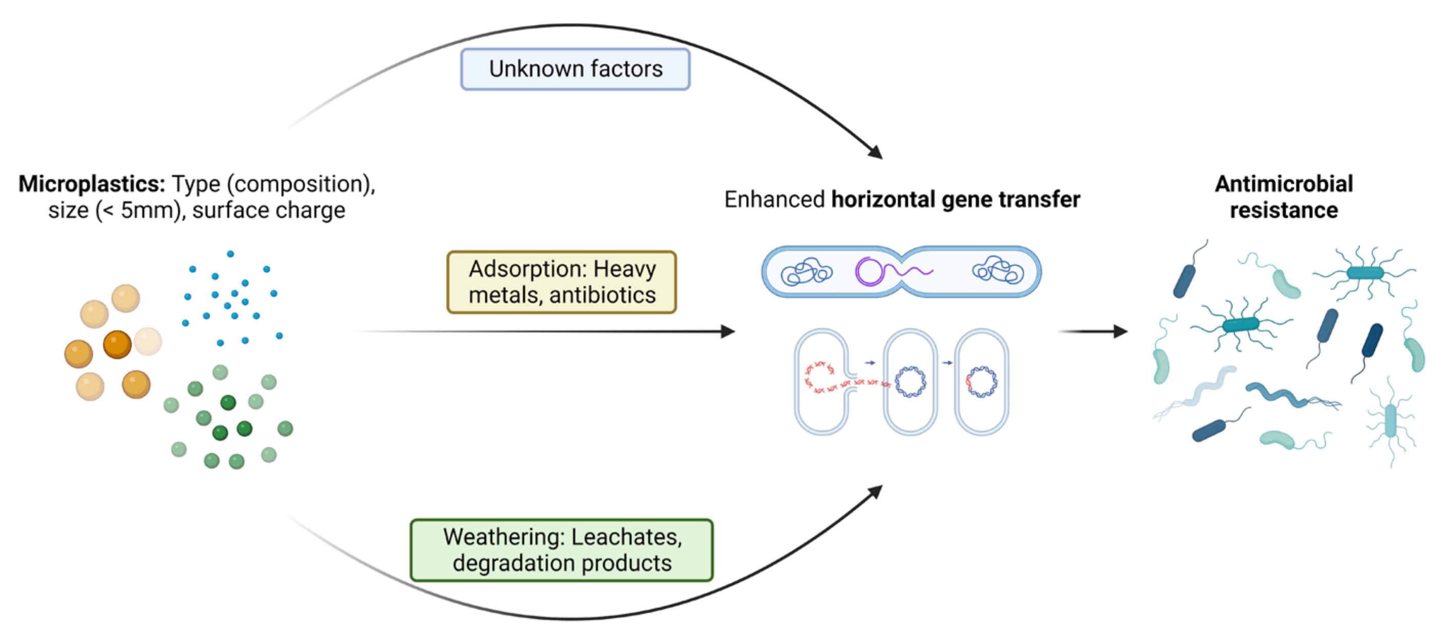 Pathogens 12 00888 g002