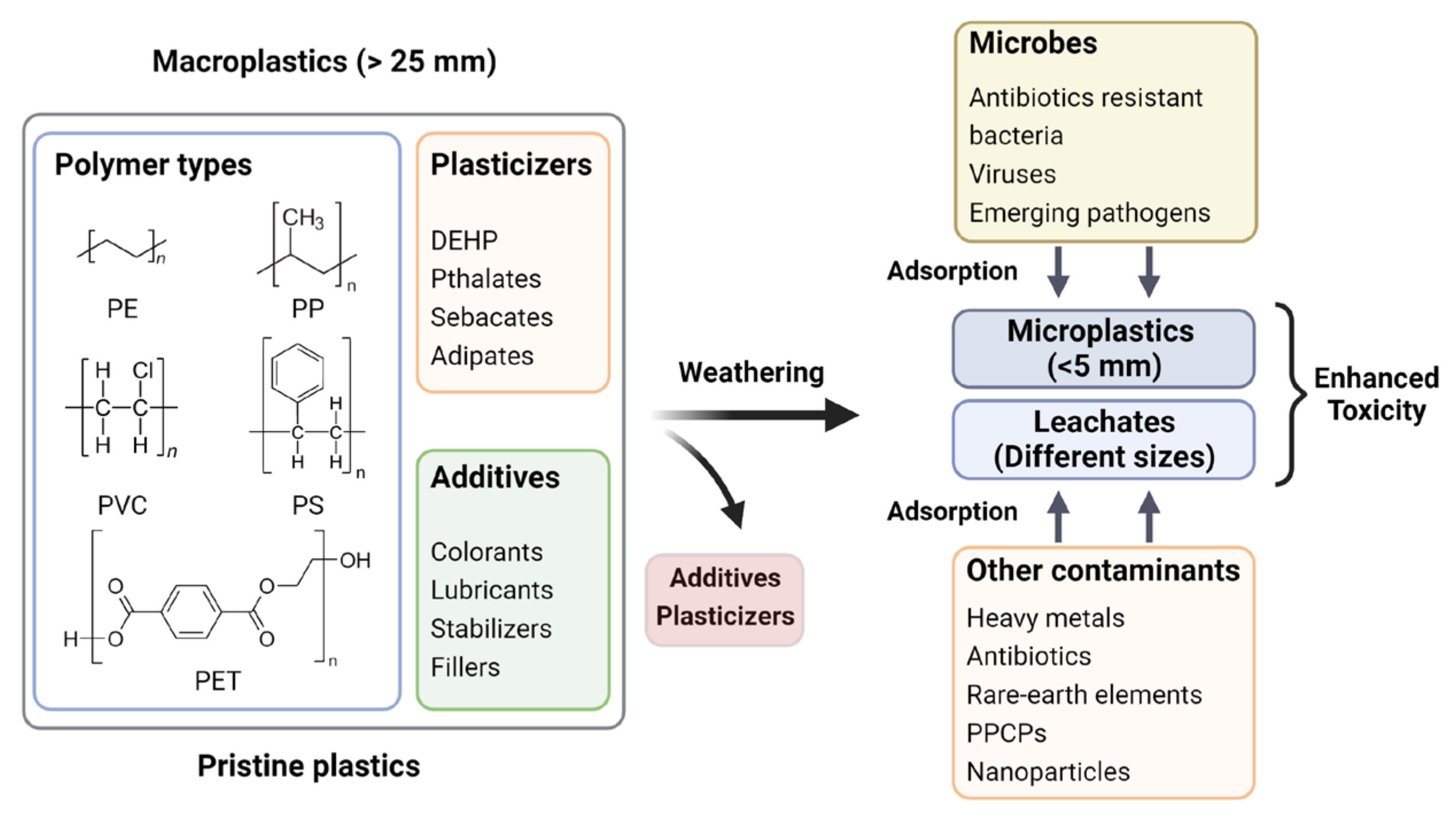 Pathogens 12 00888 g003