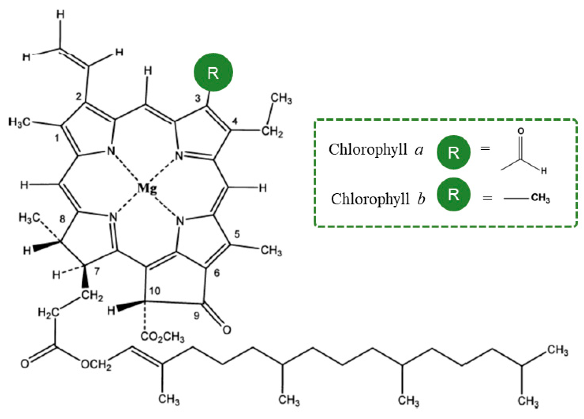 Chlorophyll c stock illustration. Illustration of molecule - 84224637