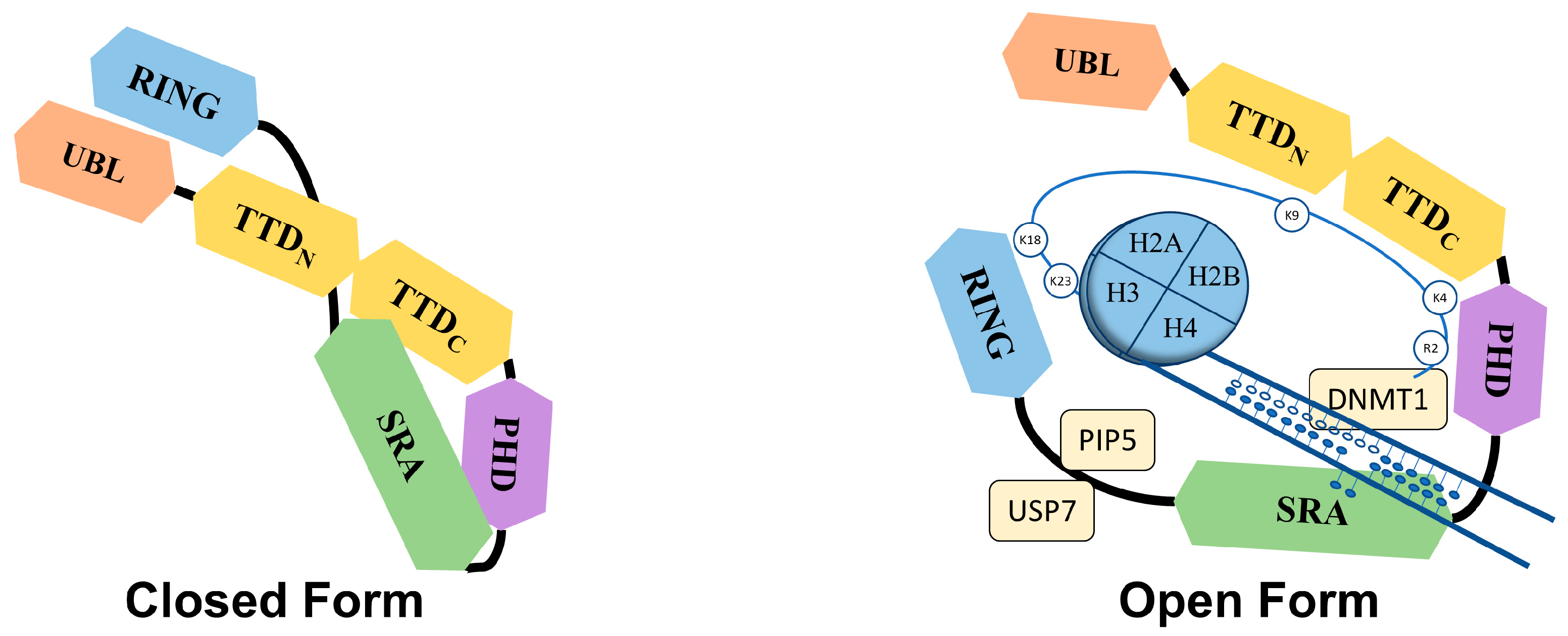 Molecules 28 05997 g002