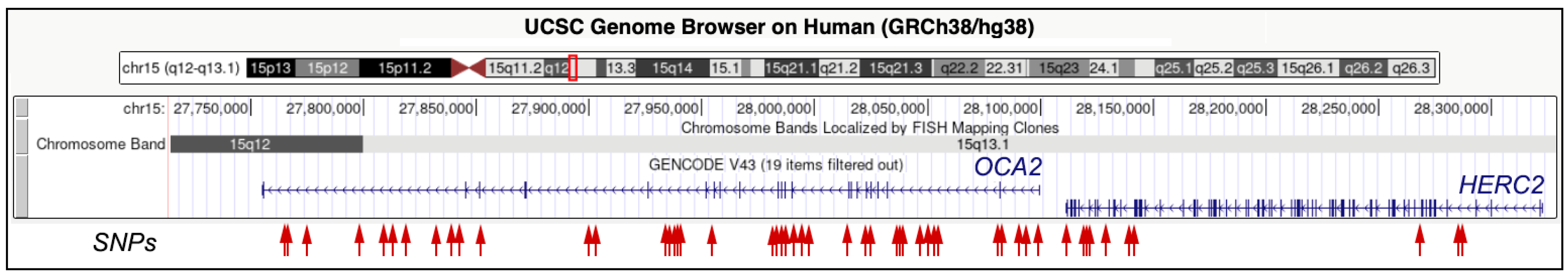 Genes 14 01604 g001