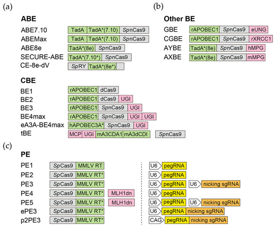 Biomedicines 11 02168 g002