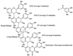 Molecules 28 06202 i008