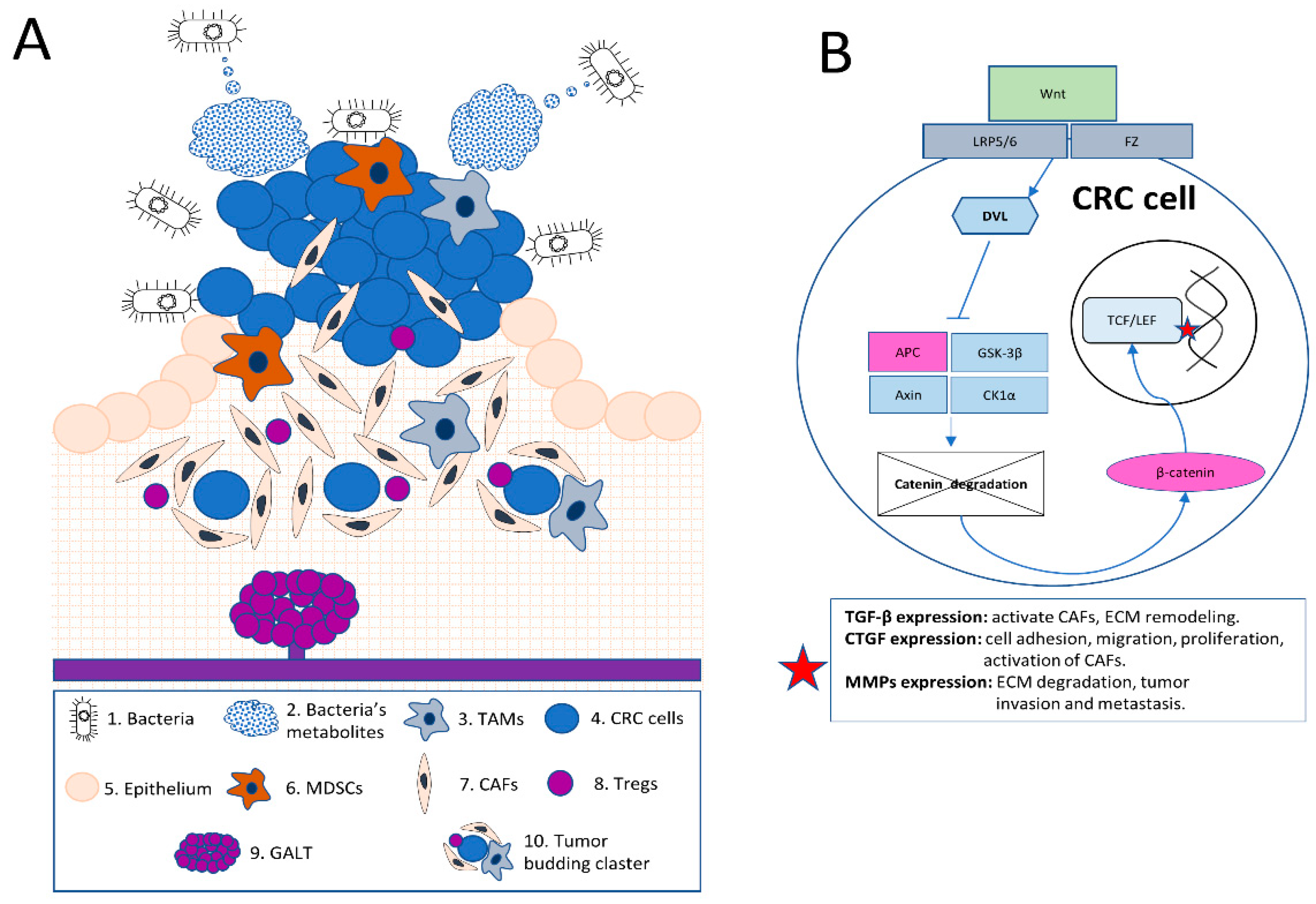 Biomedicines 11 02361 g001