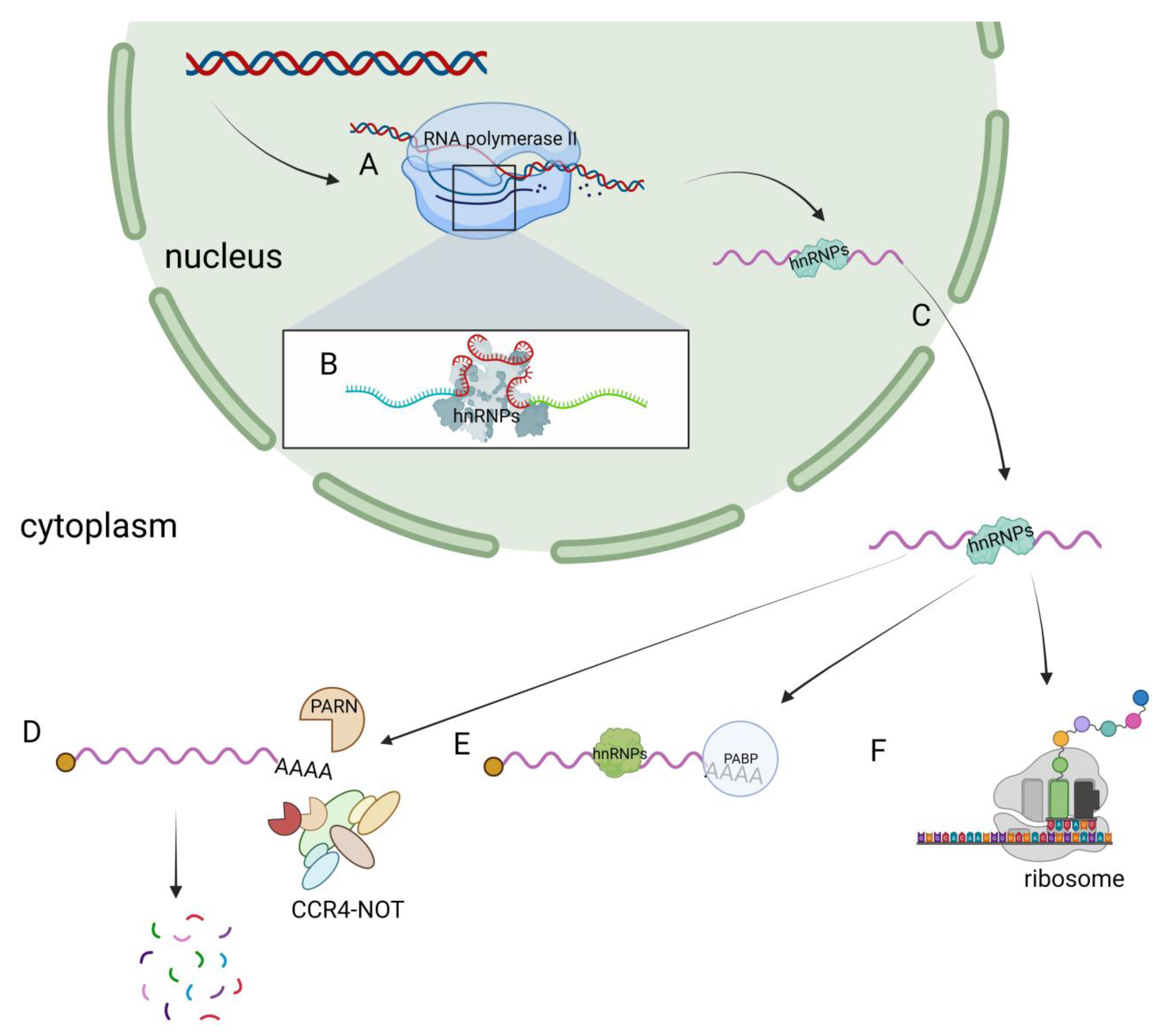 Biomolecules 13 01434 g002