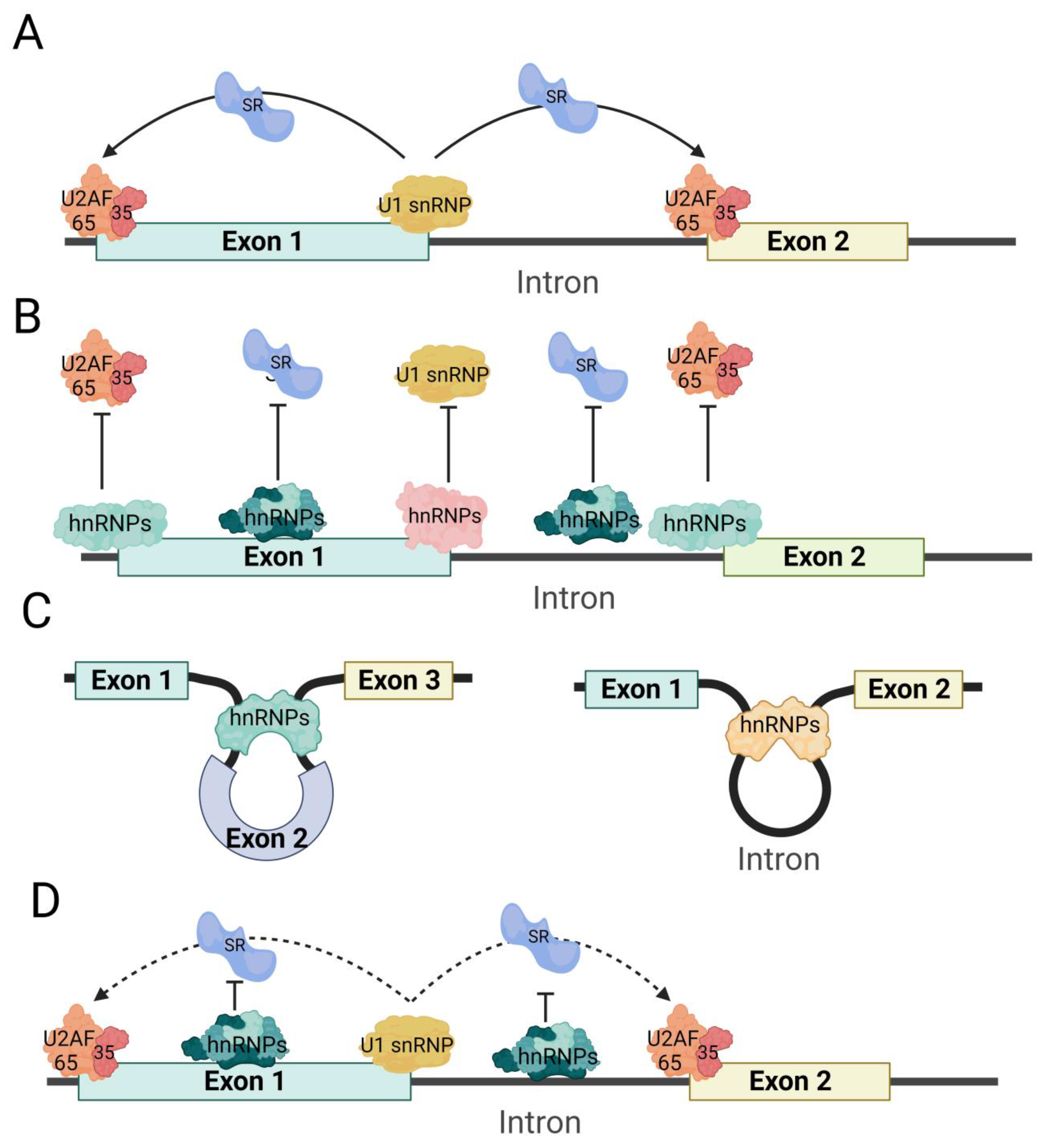 Biomolecules 13 01434 g004