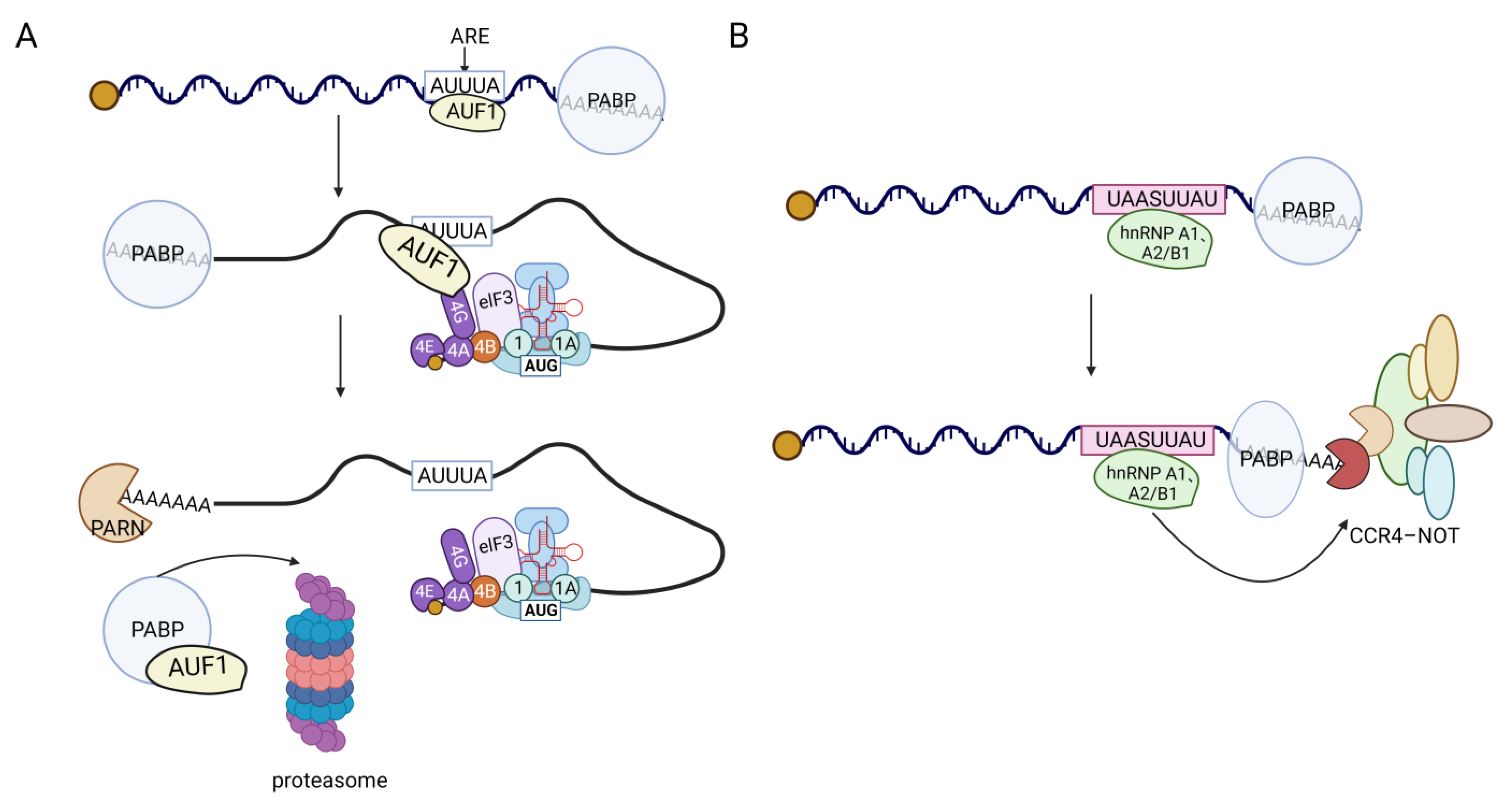 Biomolecules 13 01434 g005