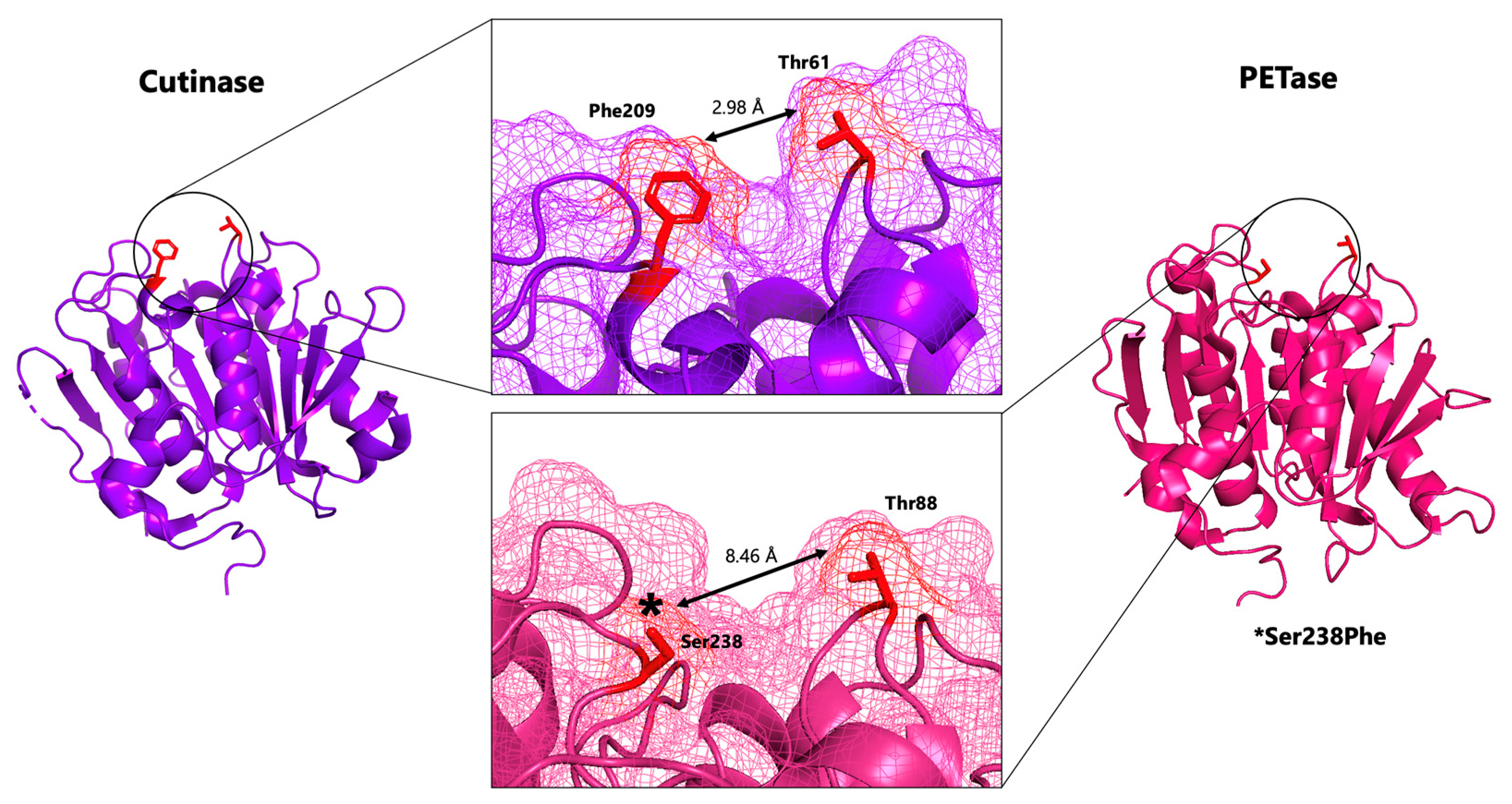 Biomolecules 13 01407 g002