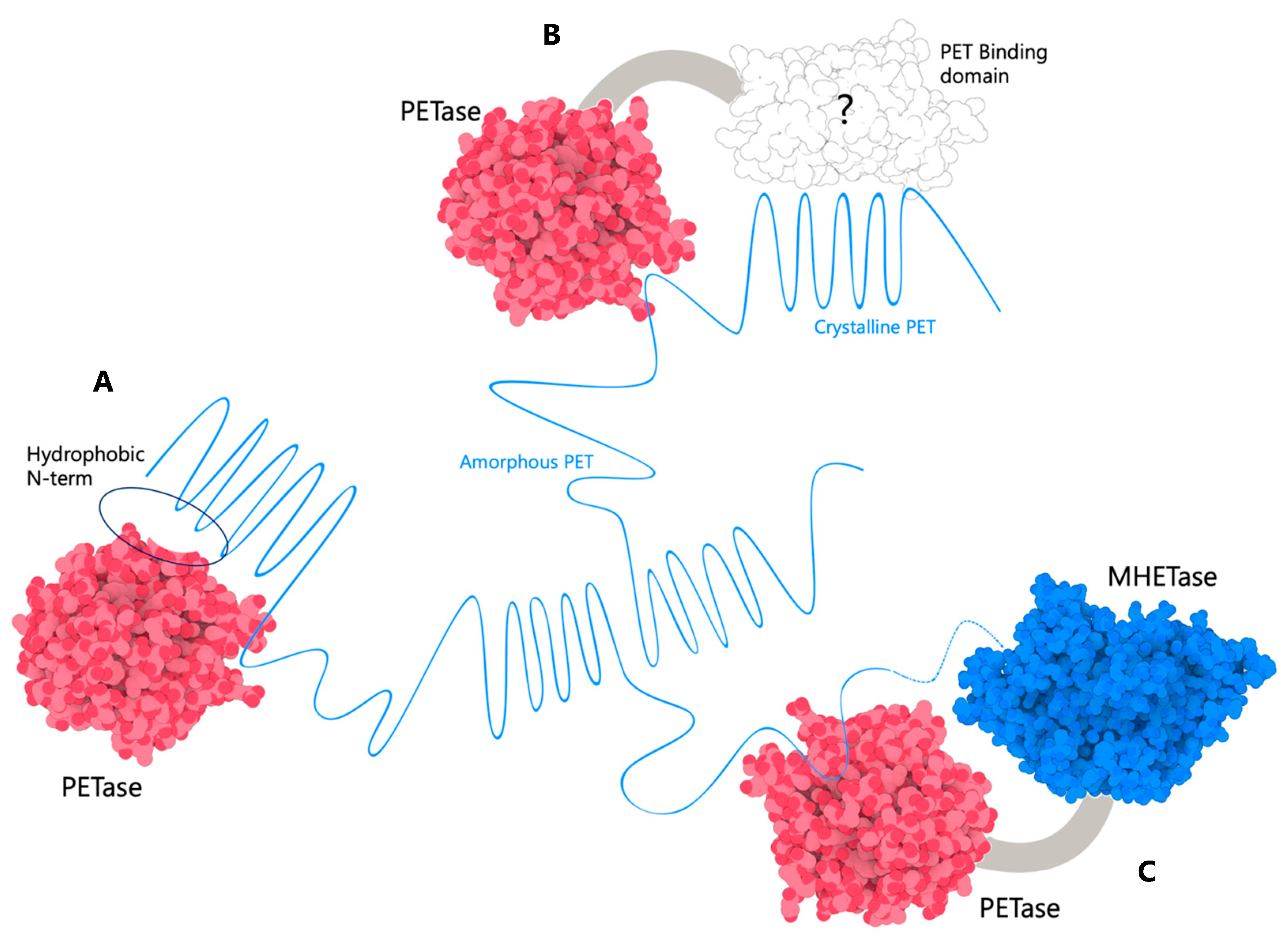 Biomolecules 13 01407 g004