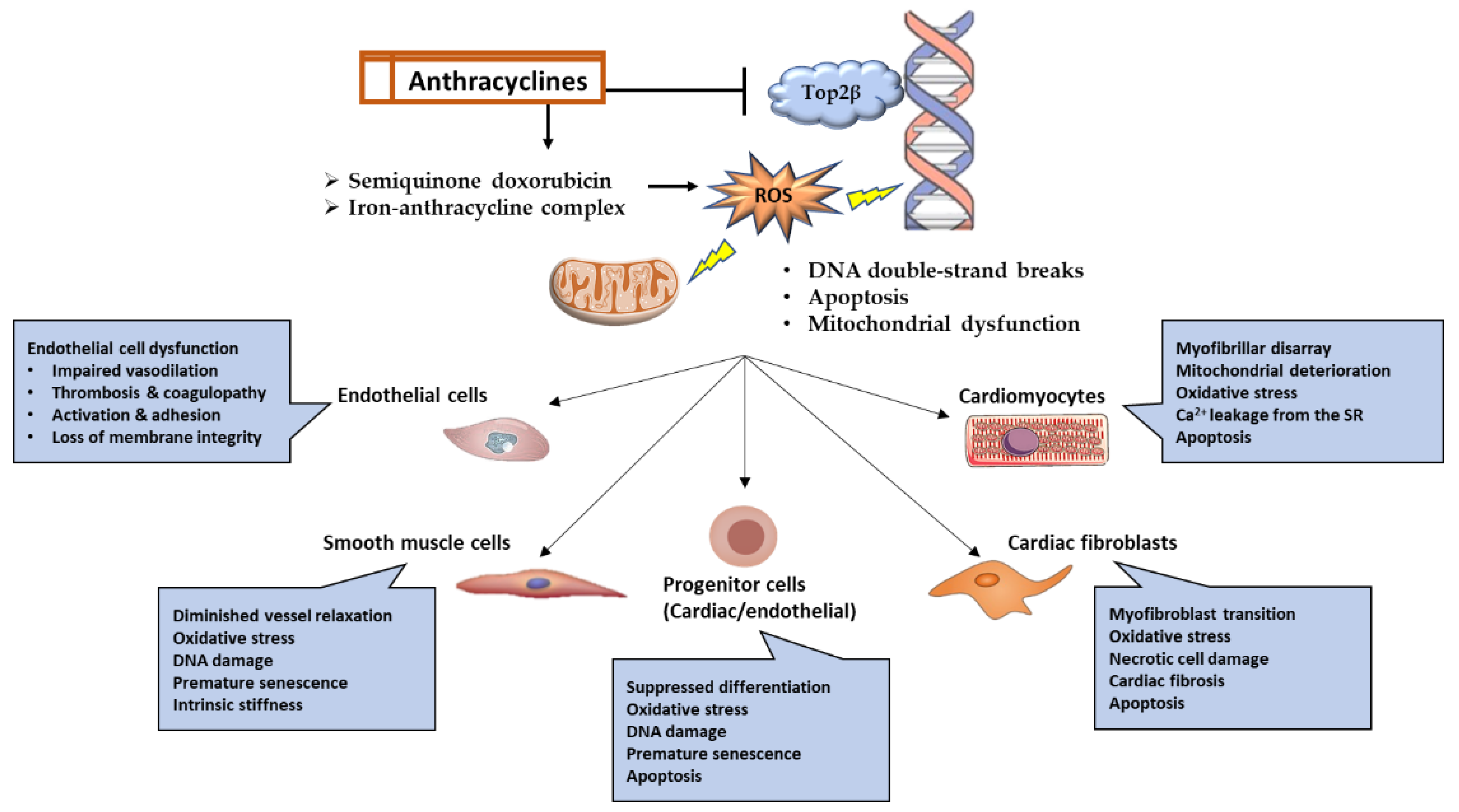 Biomedicines 11 02286 g001