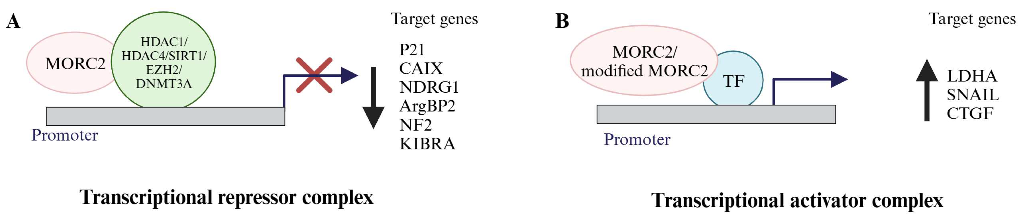 Biomolecules 13 01527 g003