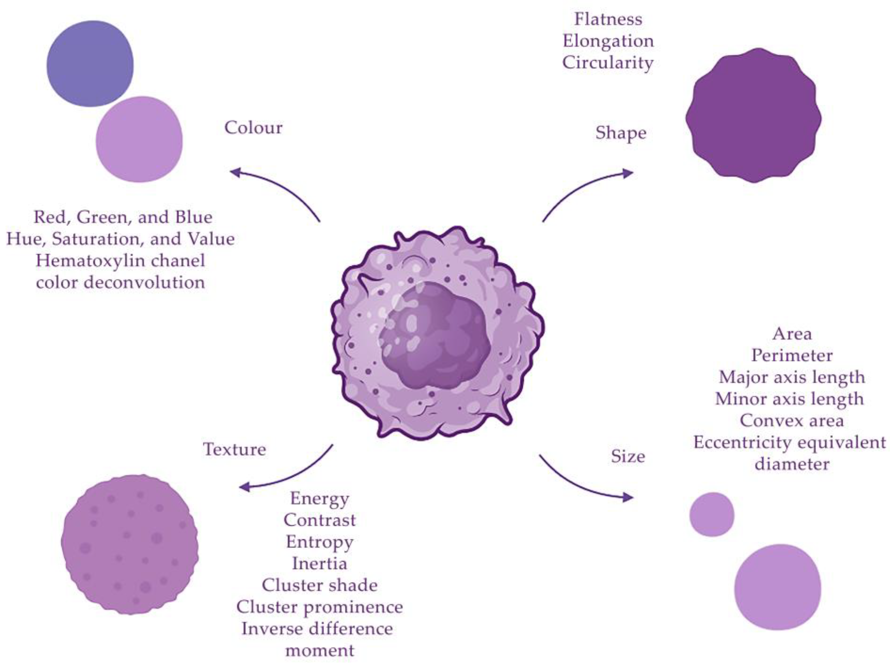 Biomedicines 11 02875 g002