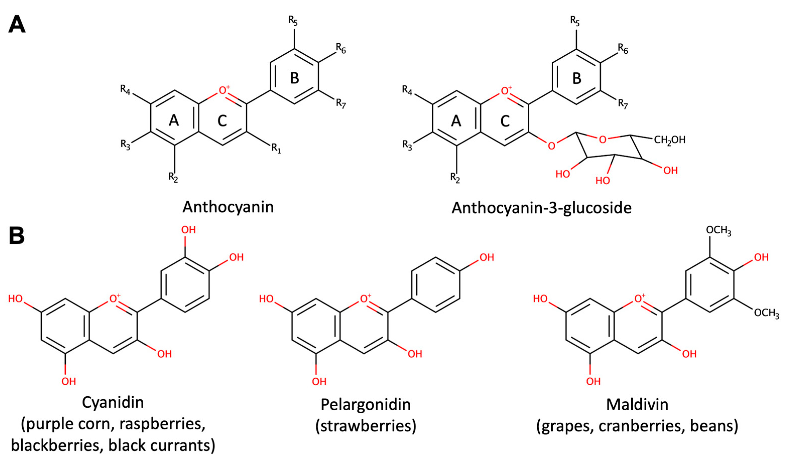 Anthocyanin Vs Resveratrol At Josephine Parks Blog