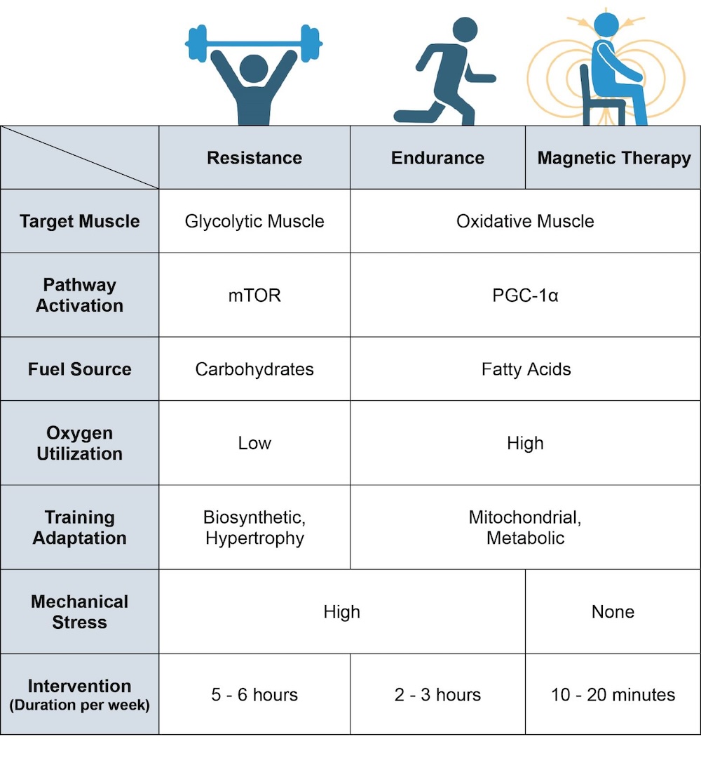 Physiological differences between resistance training, endurance training and magnetic-field intervention