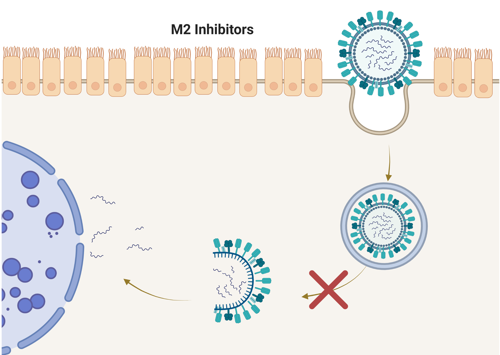 M2 Ion Inhibitors
