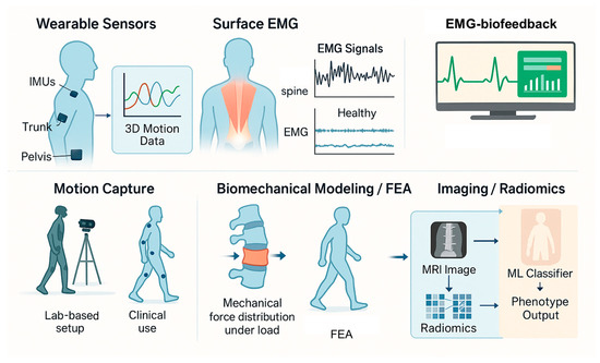Bioengineering 12 00900 g002
