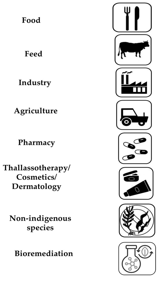 Encyclopedia 05 00176 g003