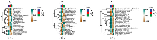 Agronomy 15 02217 g010