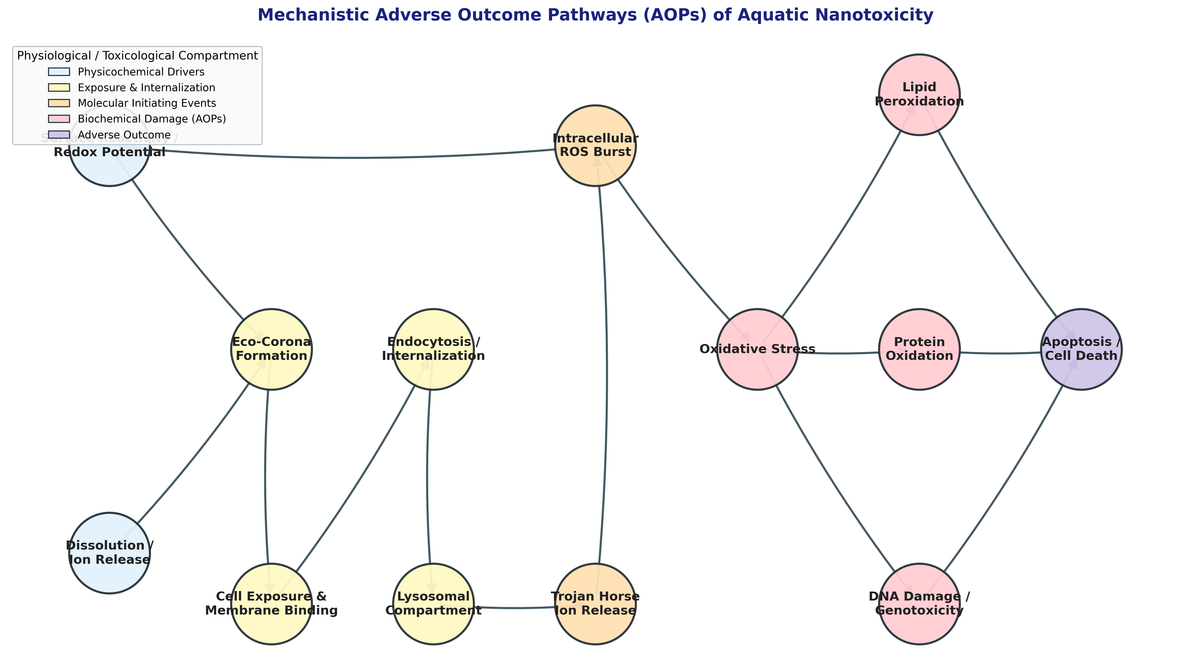 Mechanistic Aquatic toxicity outcome
