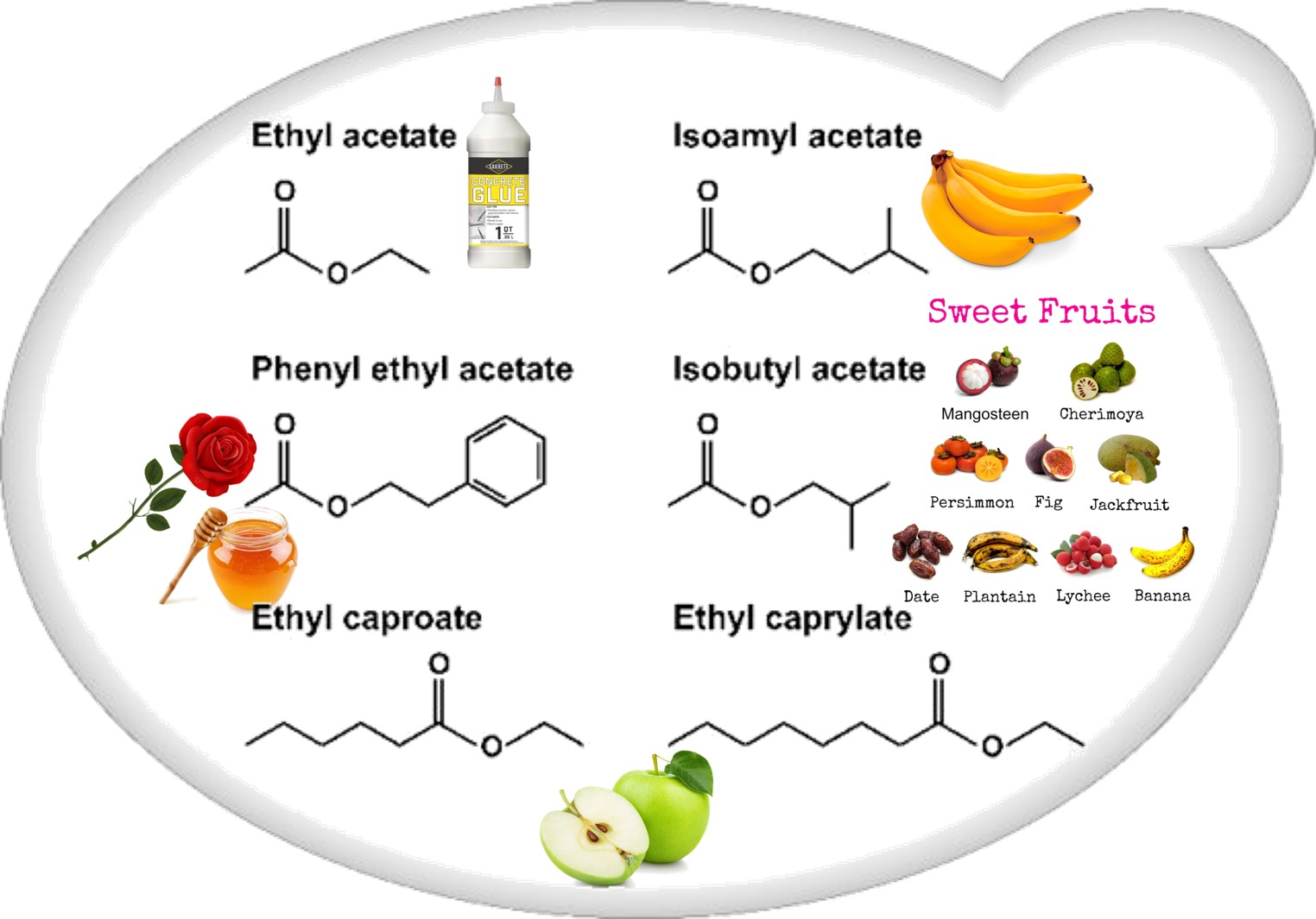 Wine Aroma And Flavor Compounds Encyclopedia