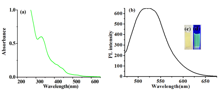 Figure 1. (a) UV-vis spectrum of G-CDs solution; (b) fluorescence spectrum of G-CDs solution; (c) daylight; (d) 440 nm blue light.